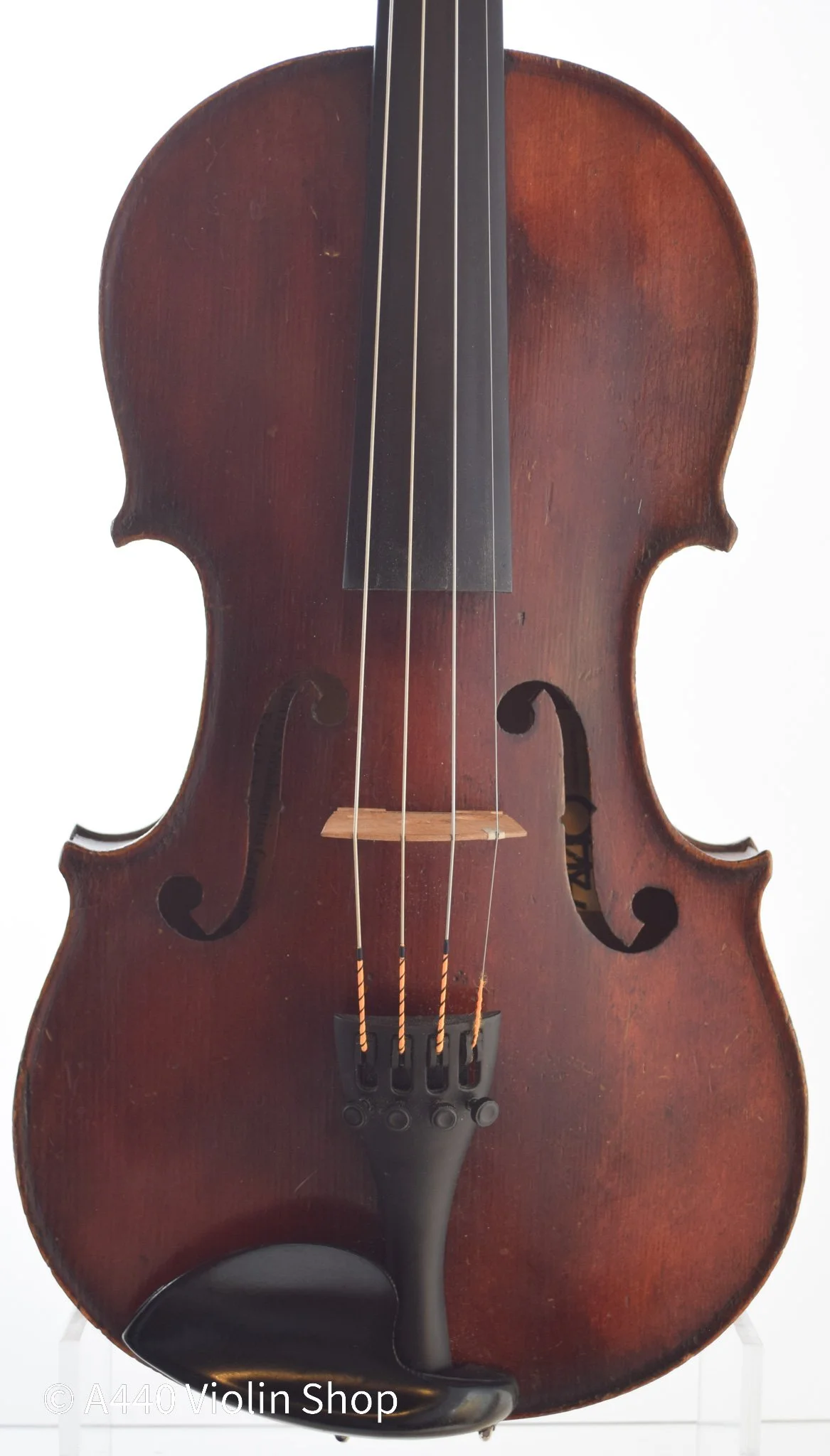 JTL Copie de Antonius Stradiuarius