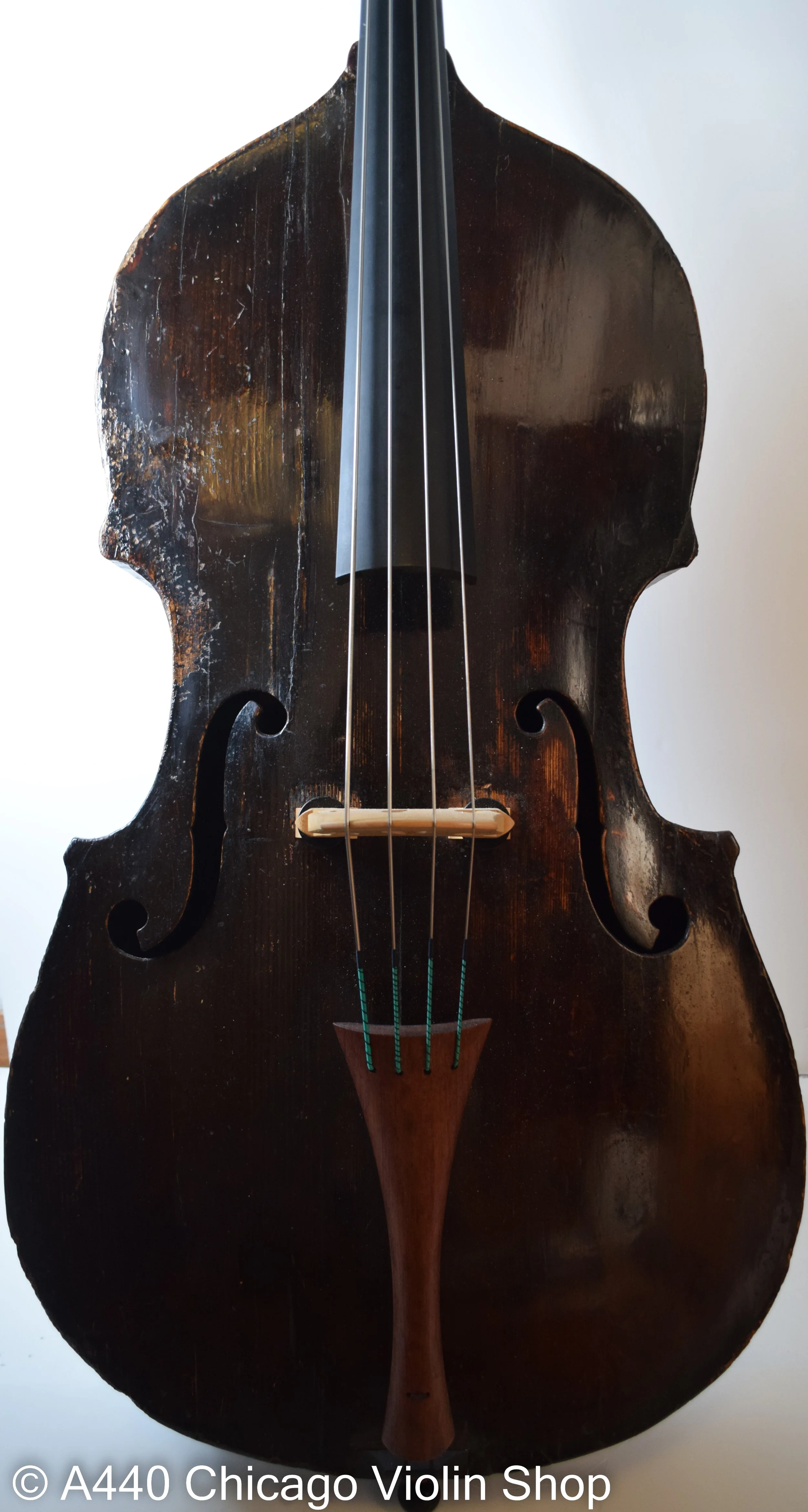 18th Century Italian Bass Labeled Domenico Busan