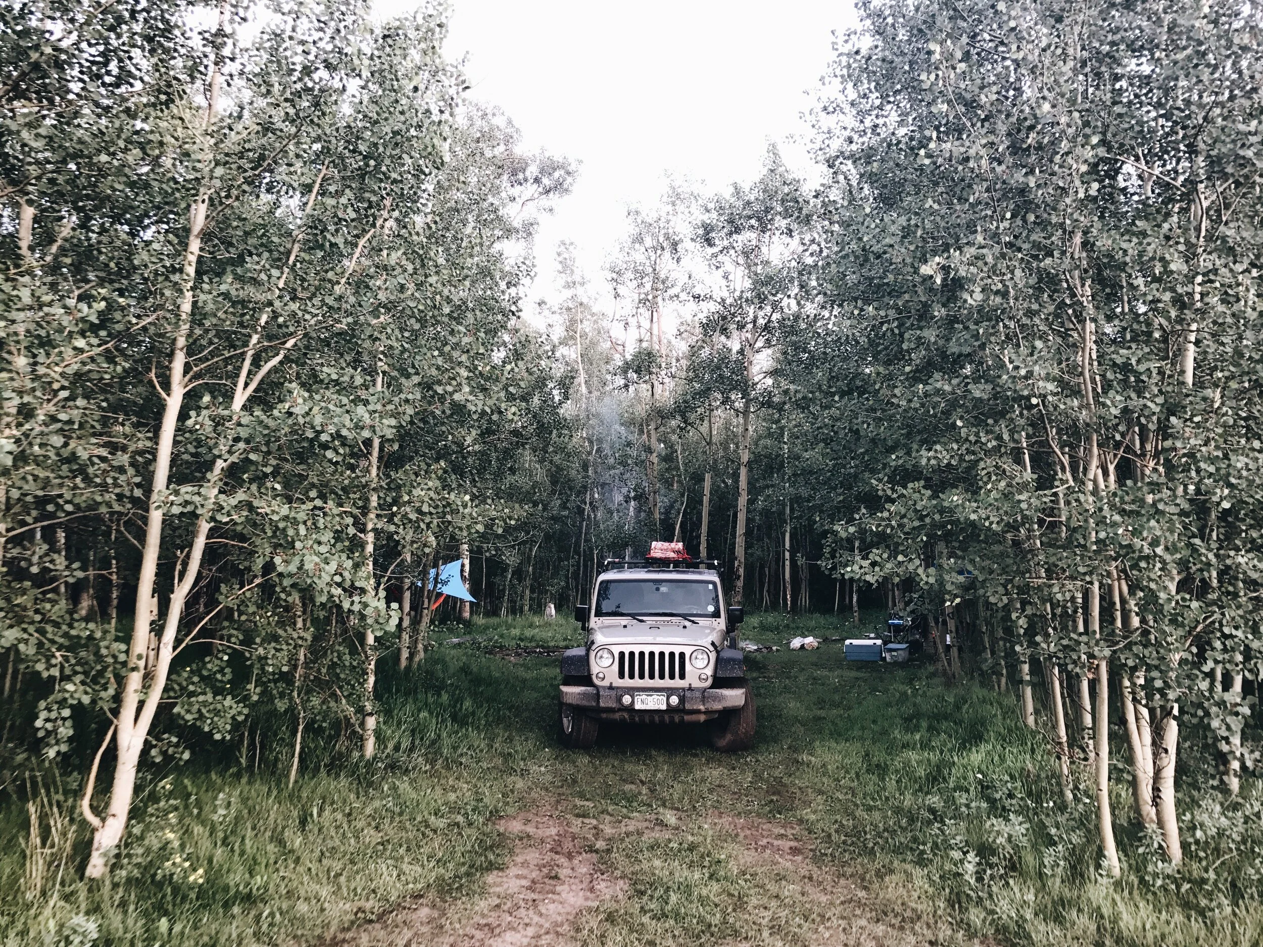 Guernsey Creek Camp, Lovely Camp Site Tucked Into The Colorado Aspens