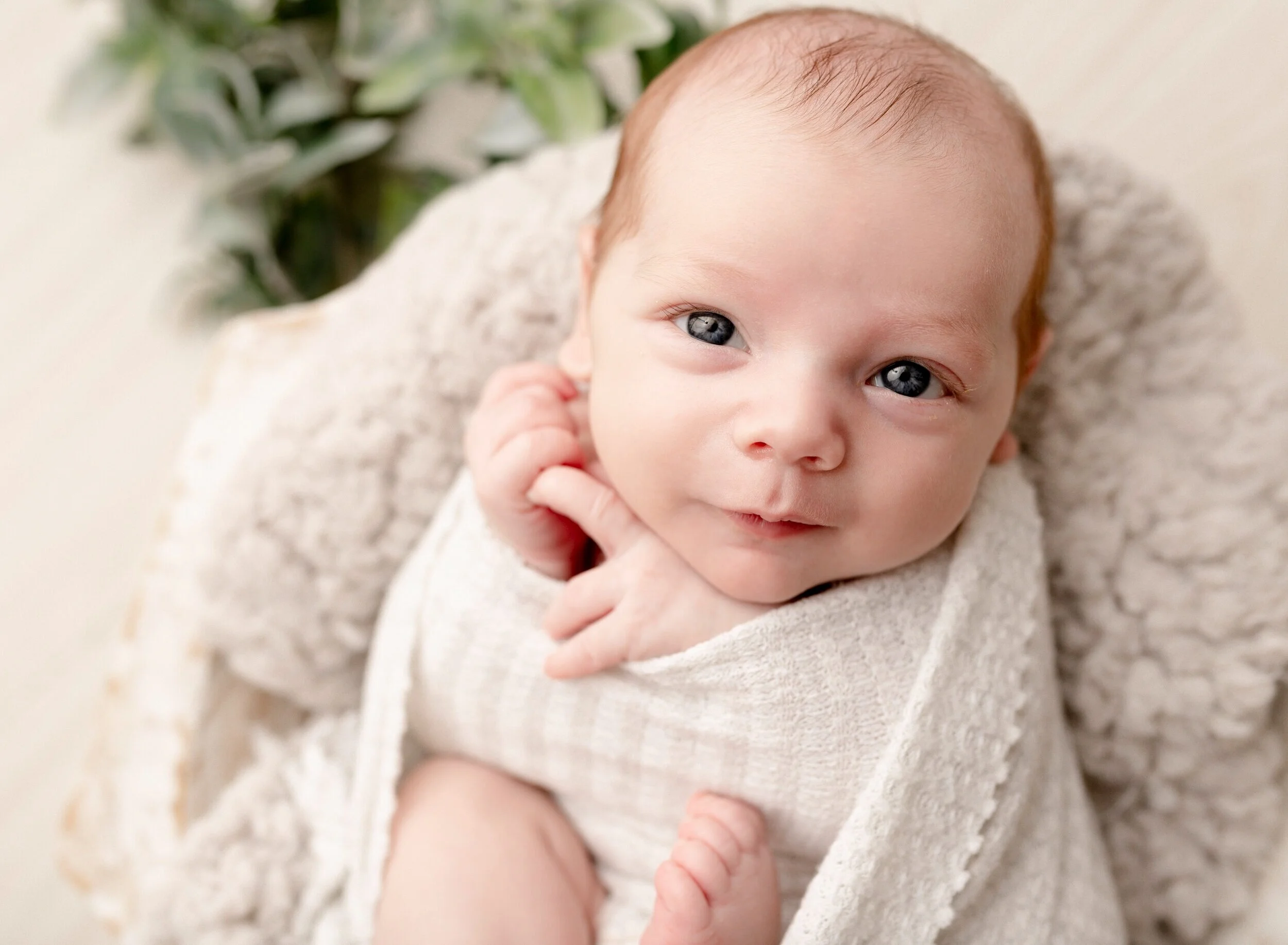 bright-eyed-newborn-looking-at-camera.jpg
