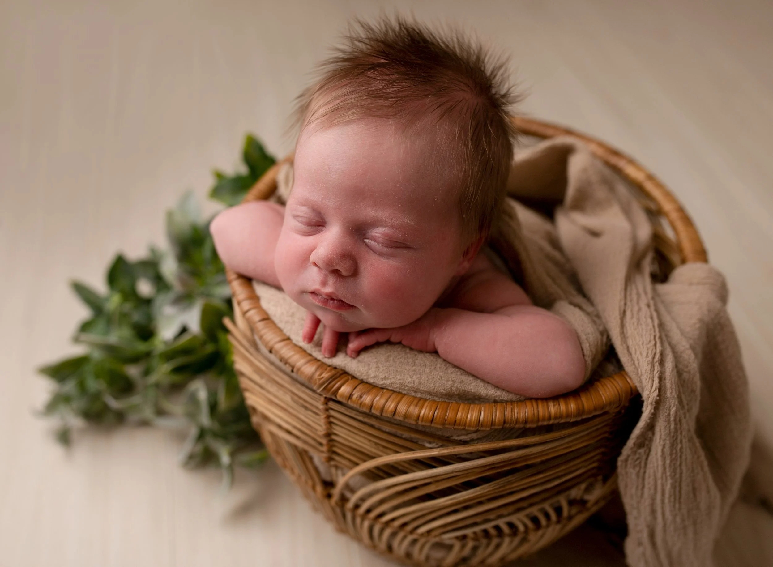 Denton Texas Studio Newborn Photography