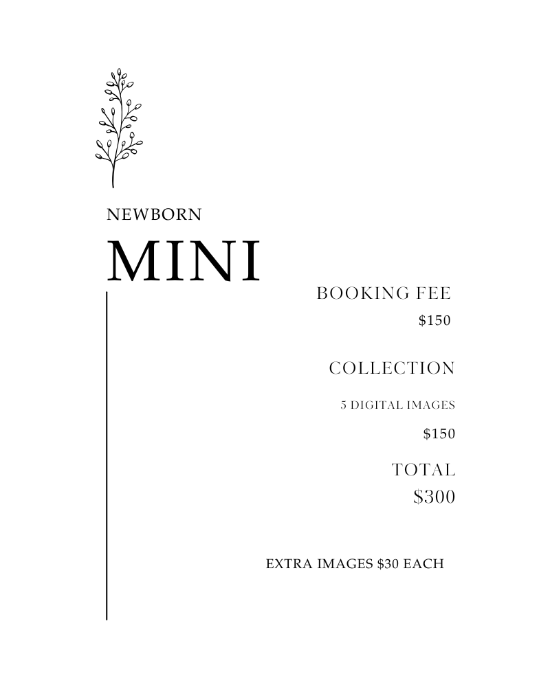 Newborn Photos Mini Session Pricing
