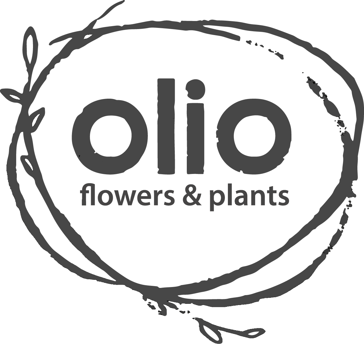 Olio flowers + plants