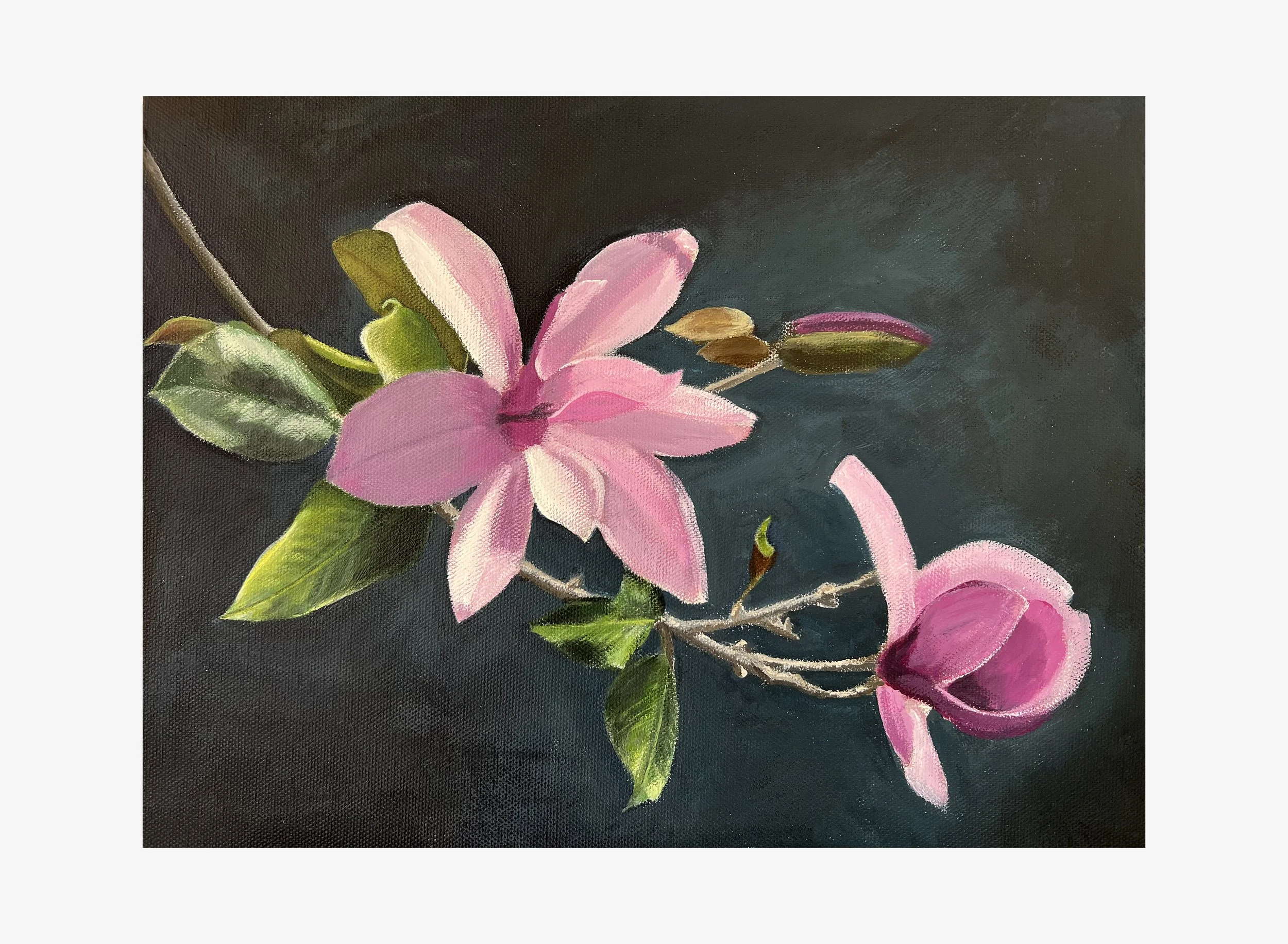 magnolias.jpg