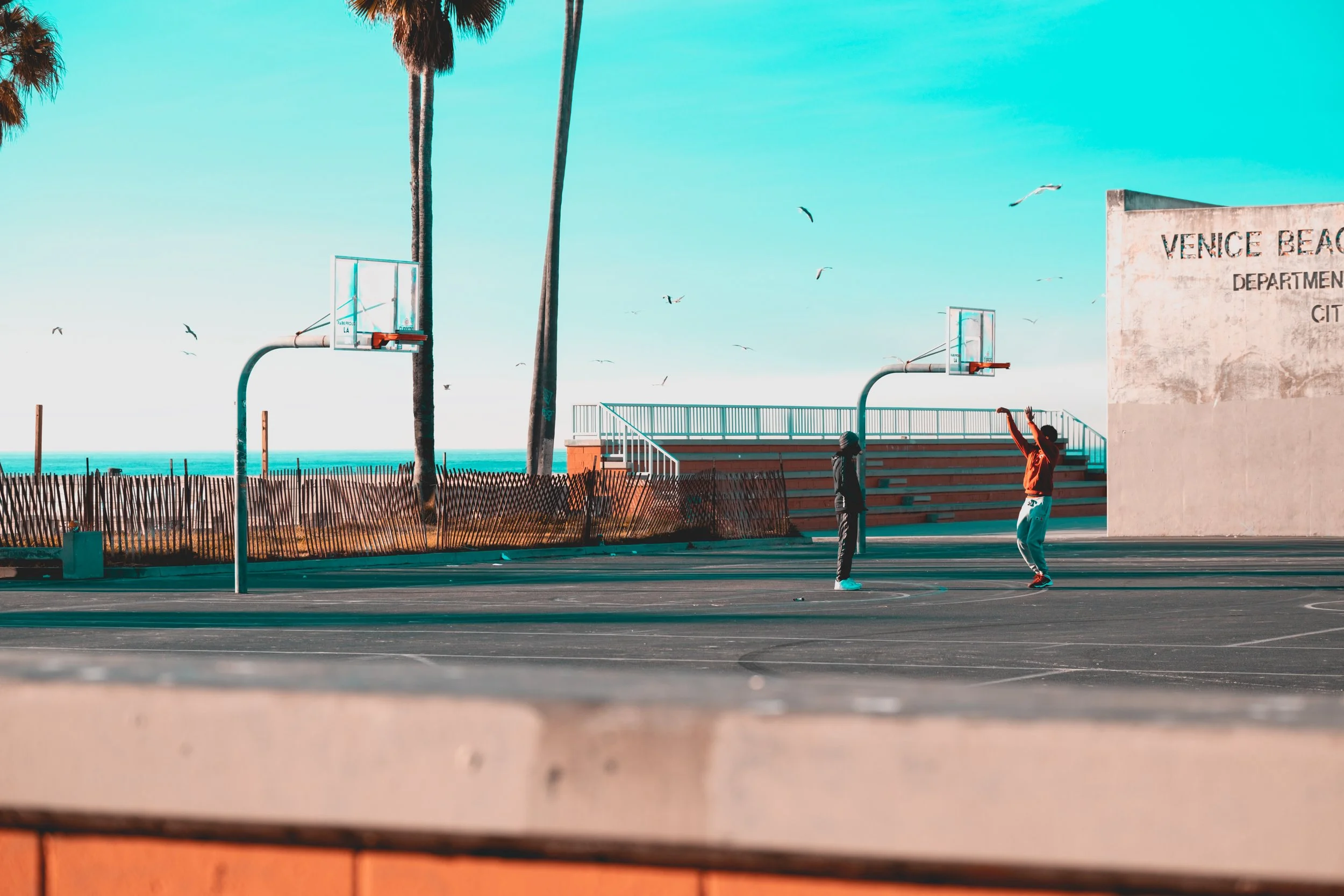 VeniceBeachHoopDreams1.jpg