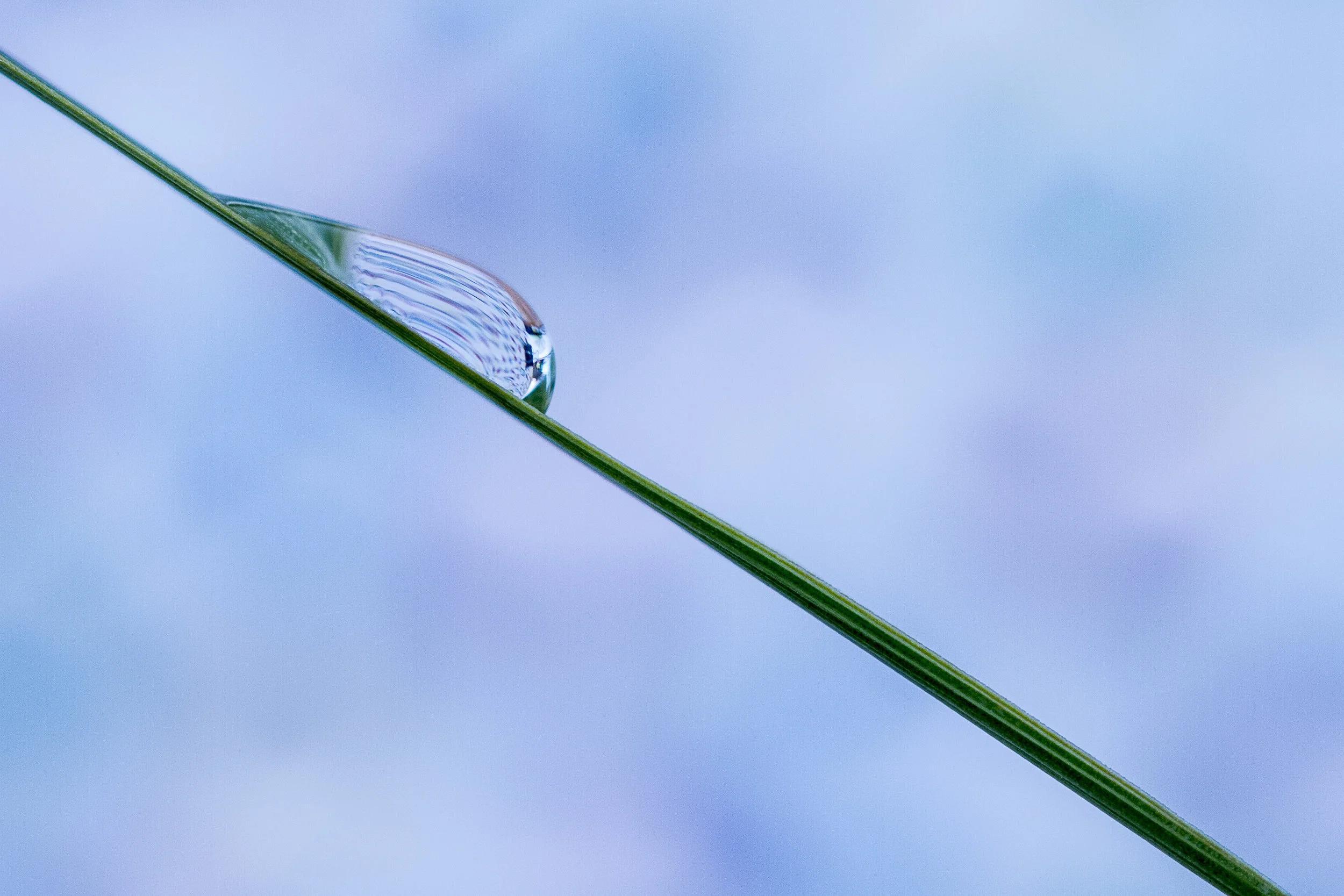 Waterdrops-10.jpg