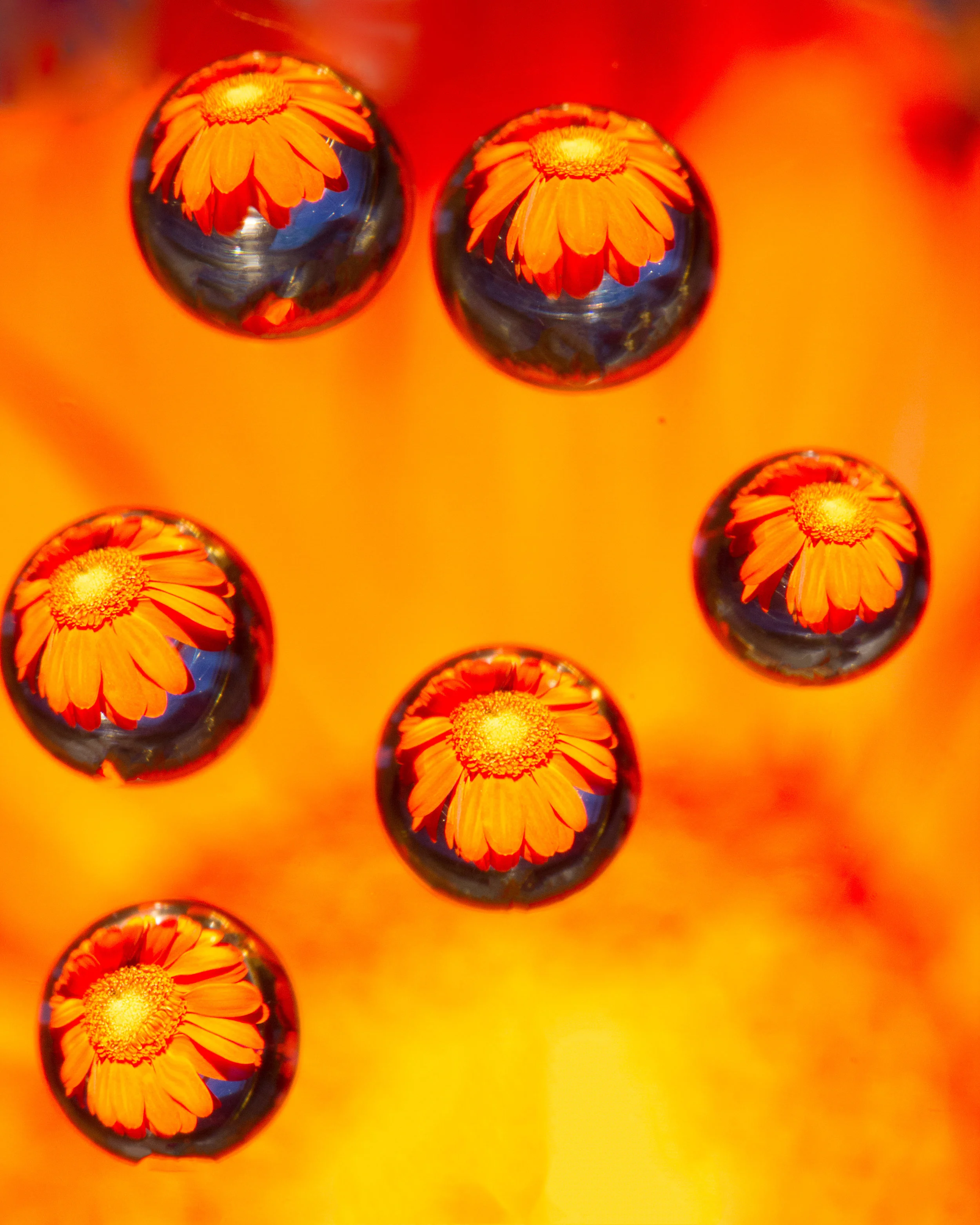 Waterdrops-9.jpg