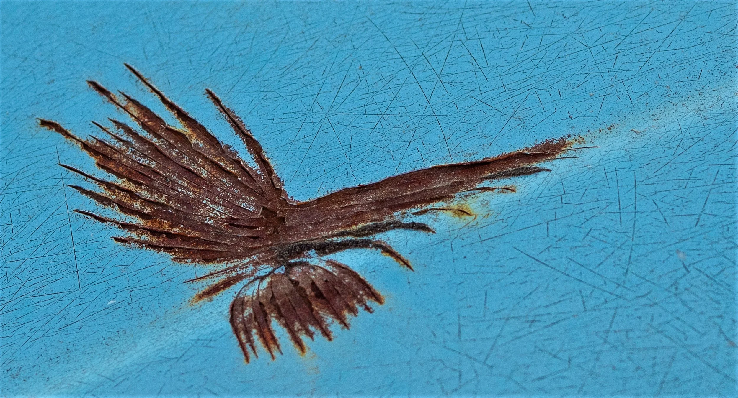 Eagle's Flight.jpg