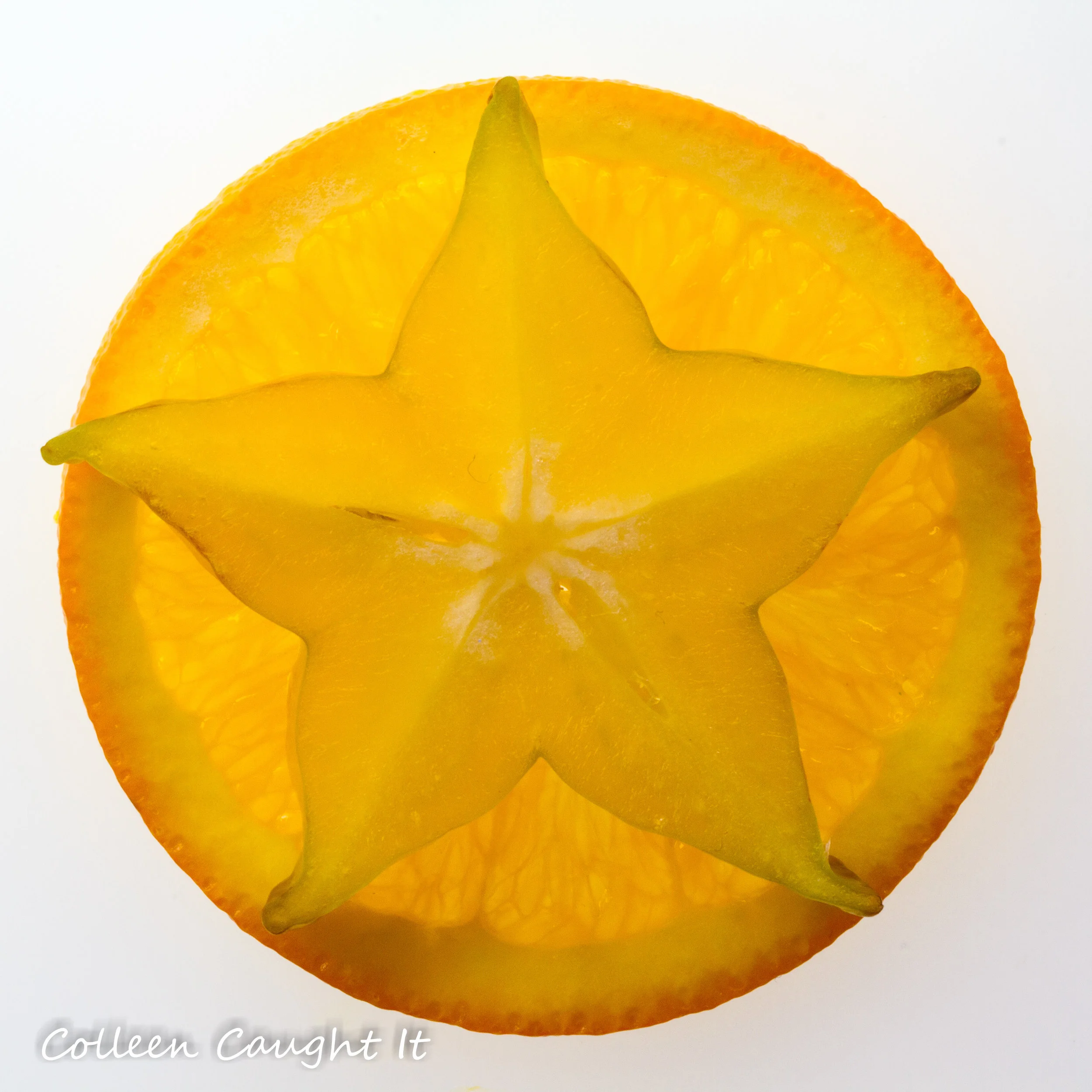 Macro Food-2.jpg
