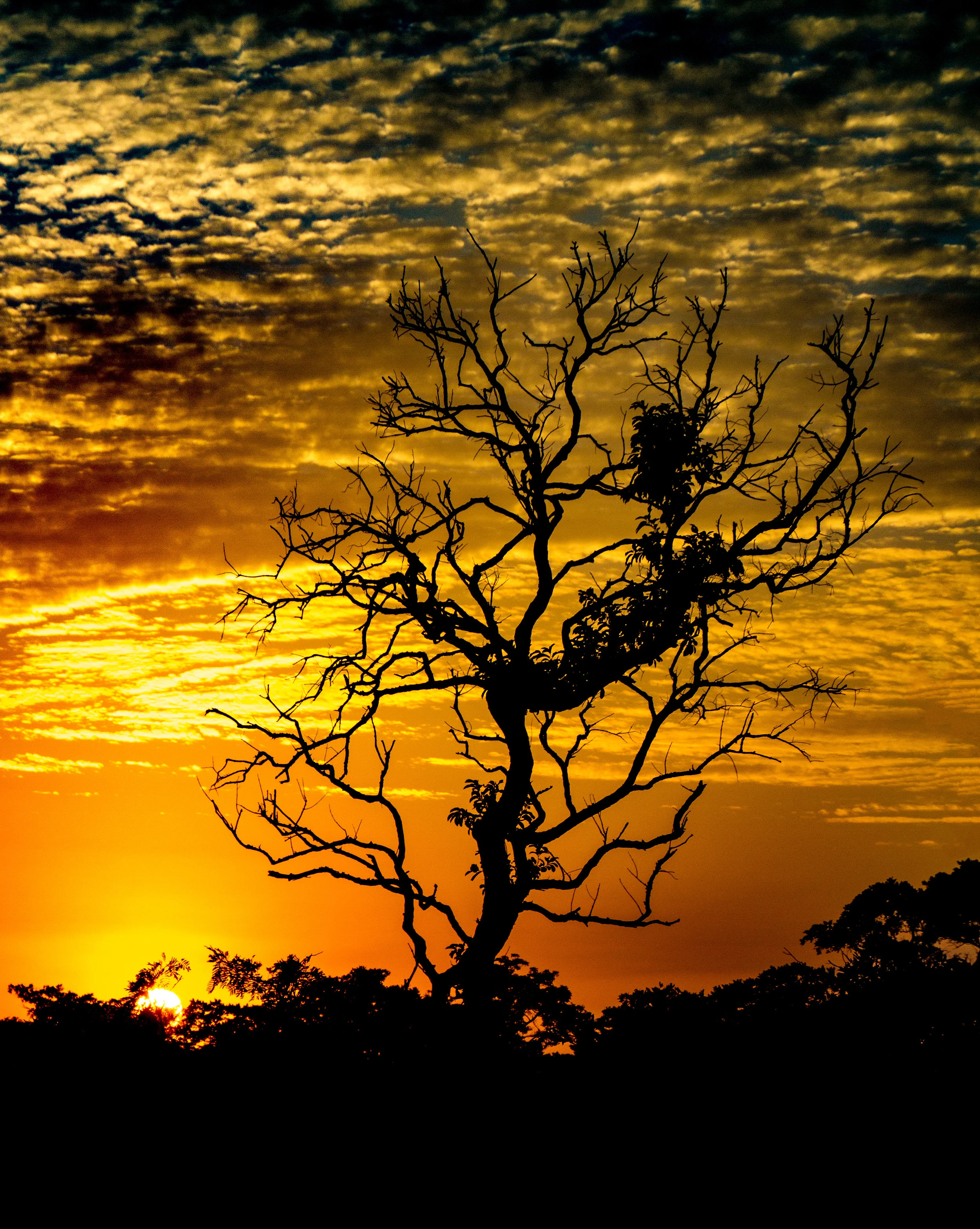 Africa-1008-Edit.jpg