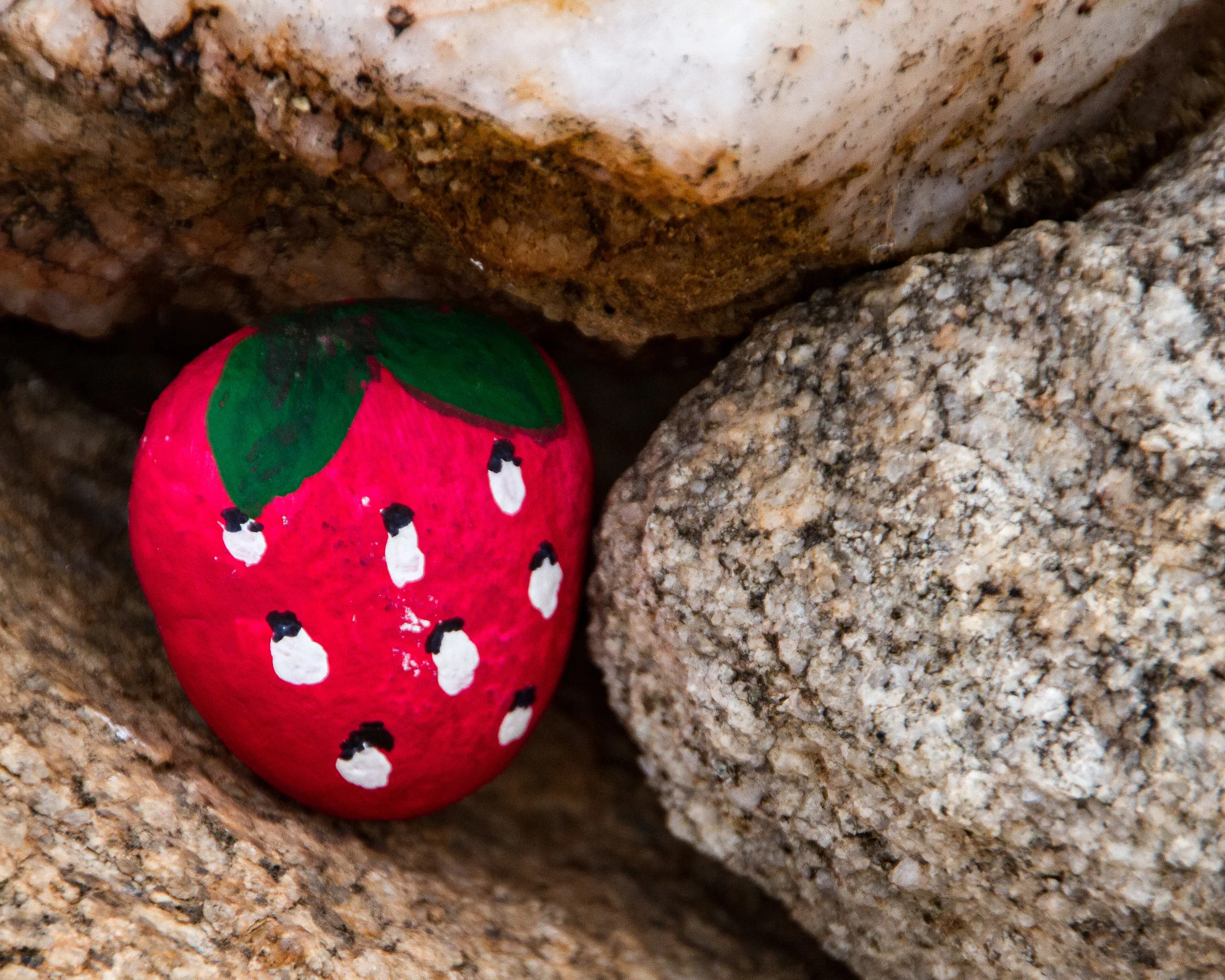 Painted Rocks-3.jpg