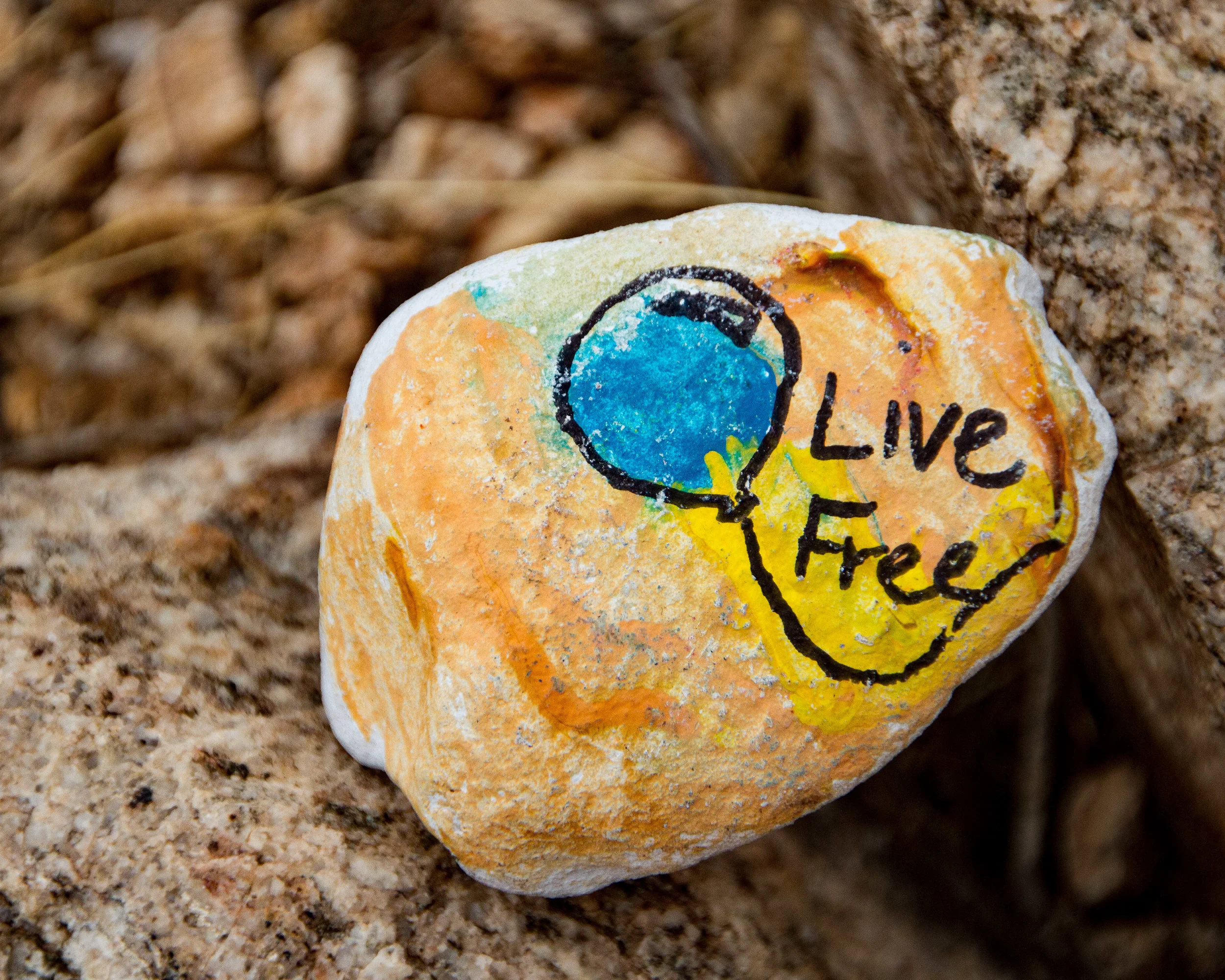 Painted Rocks-6.jpg