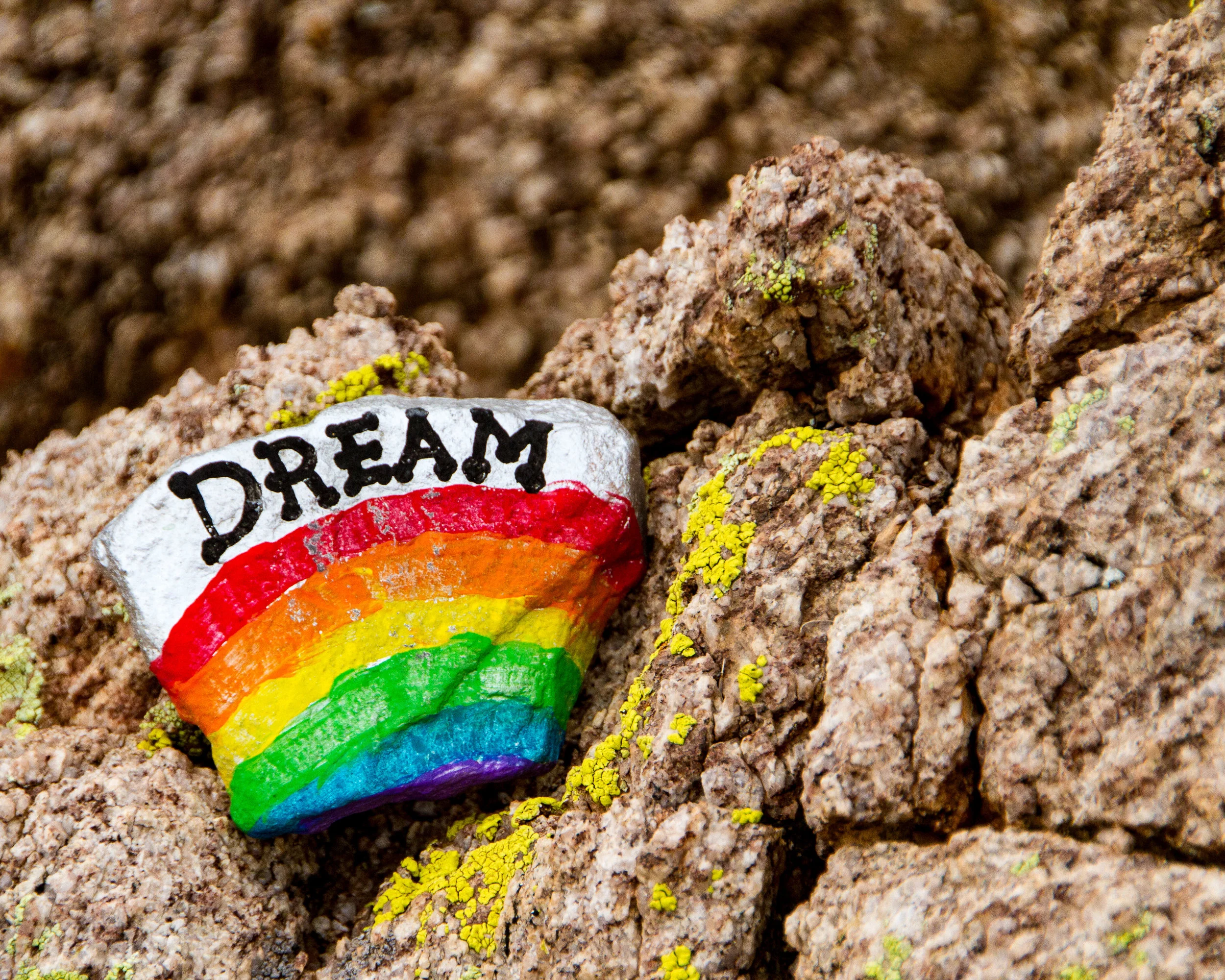 Painted Rocks-9.jpg