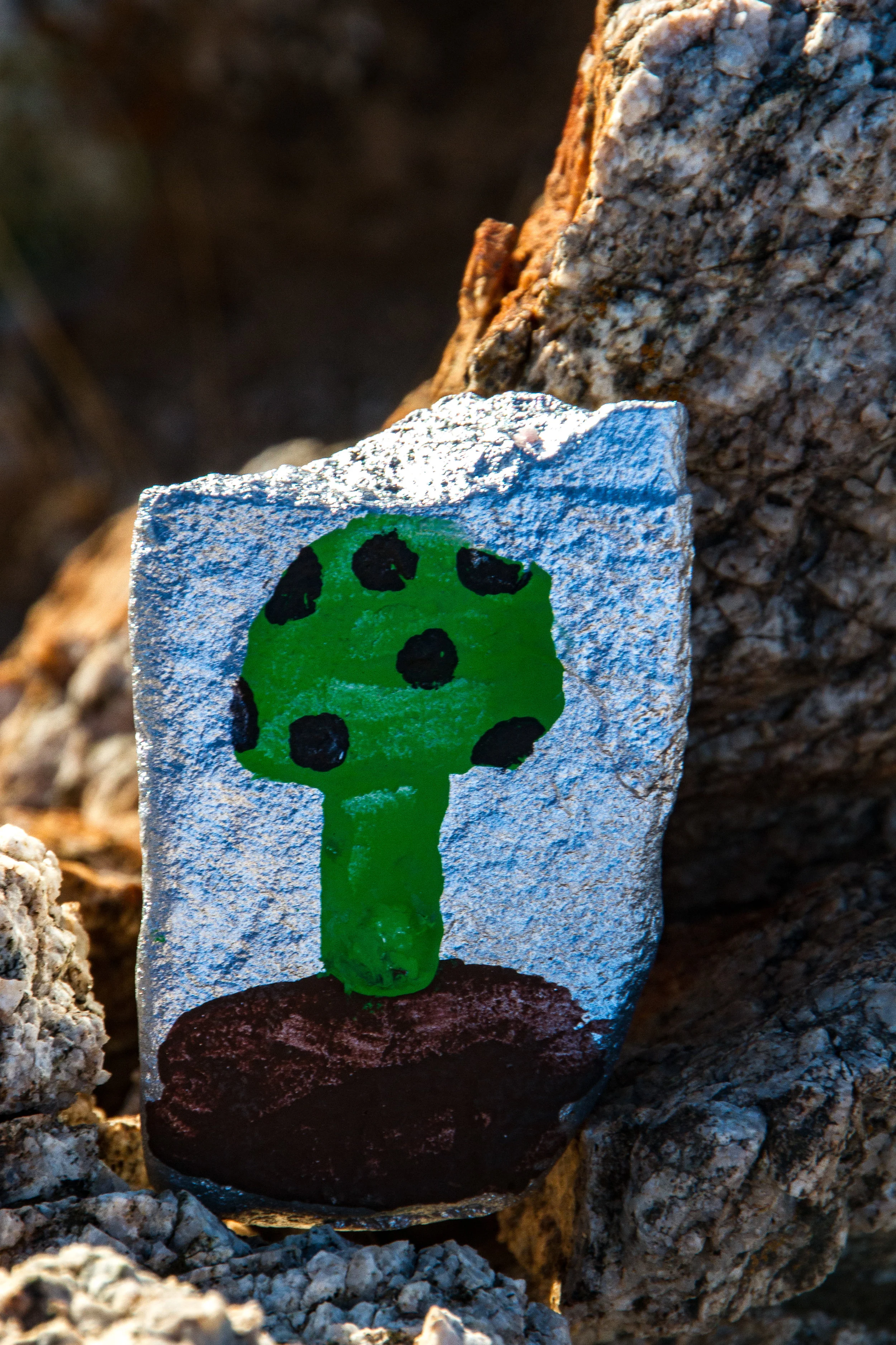 Painted Rocks-17.jpg