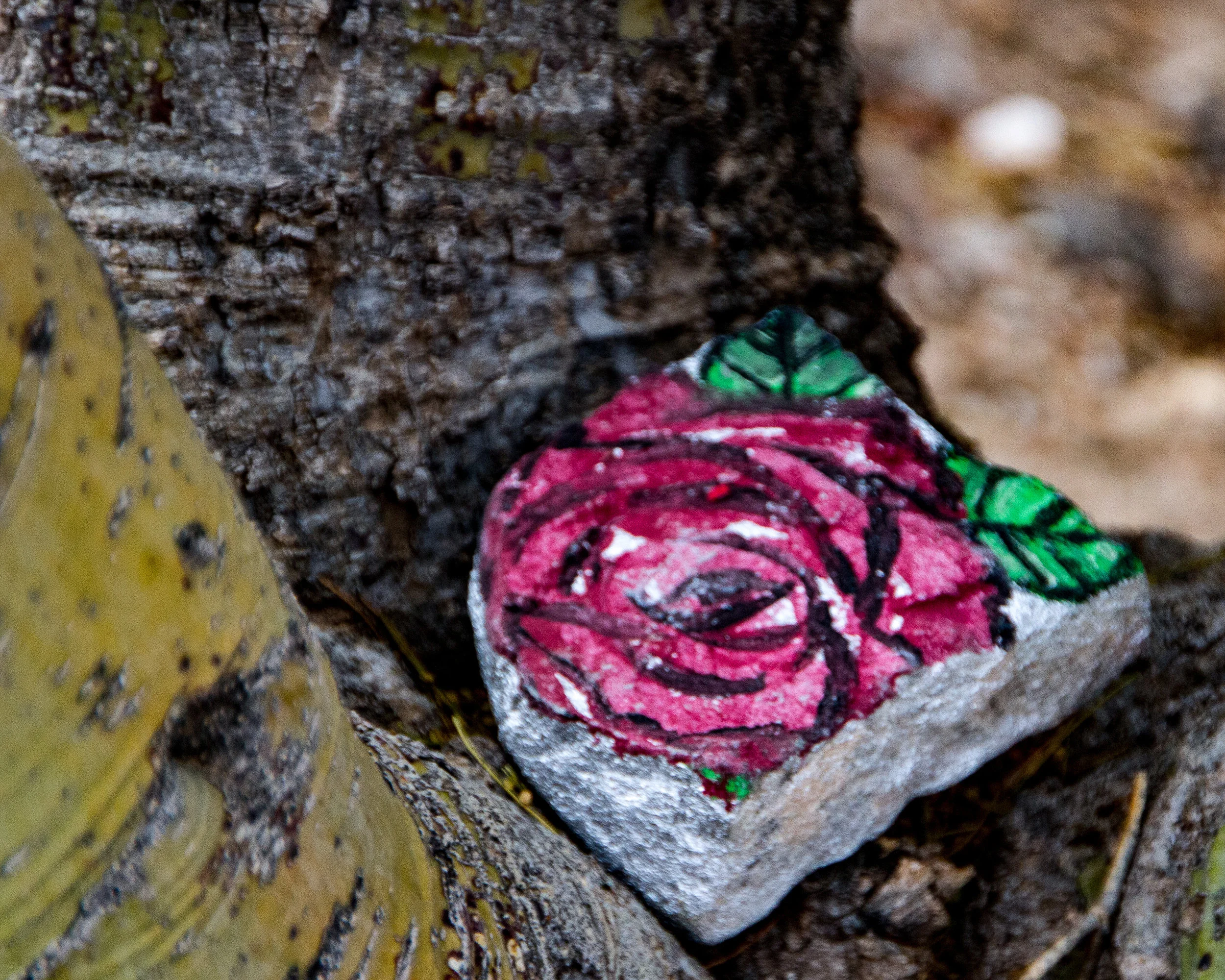 Painted Rocks-25.jpg