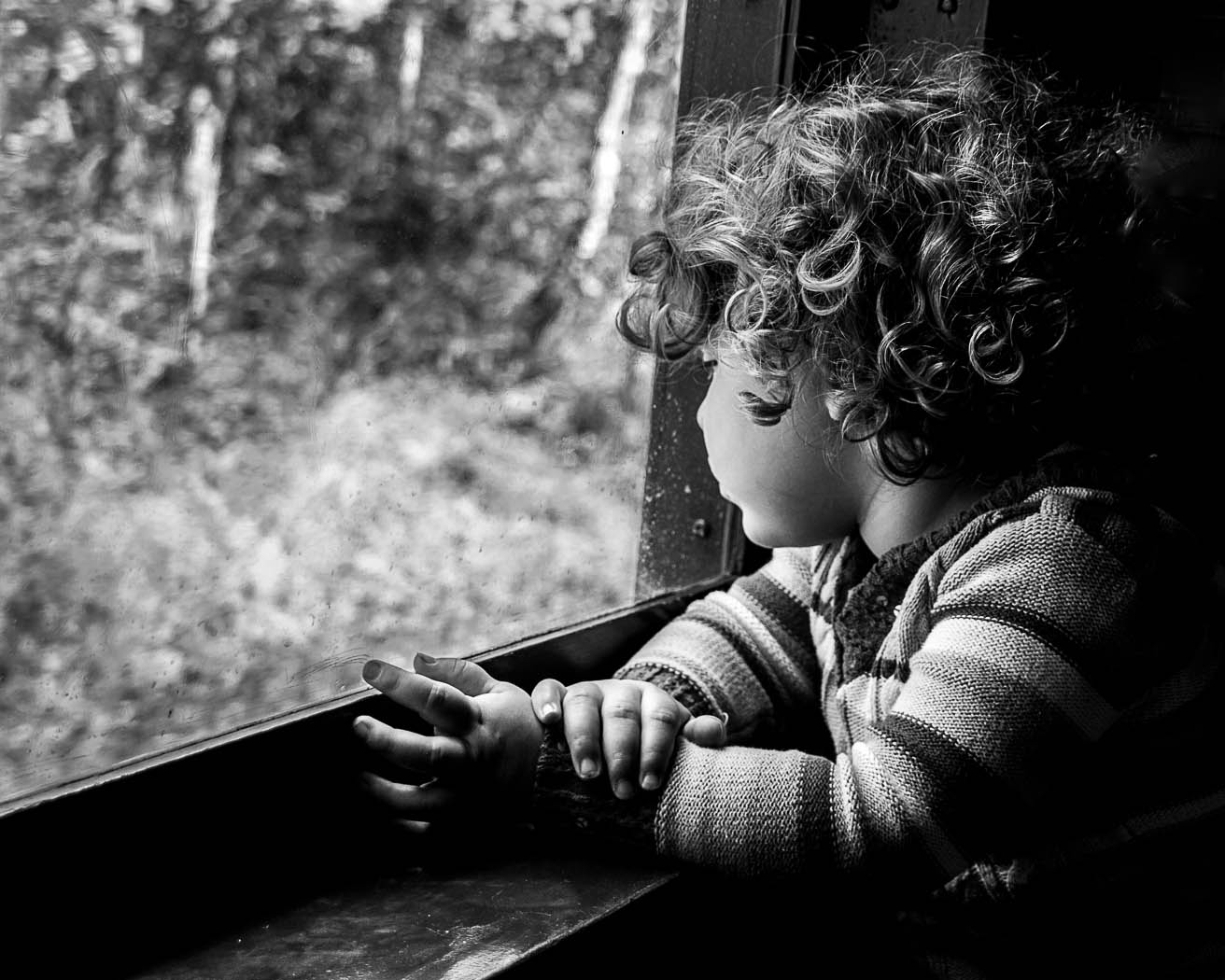 Girl on the Train