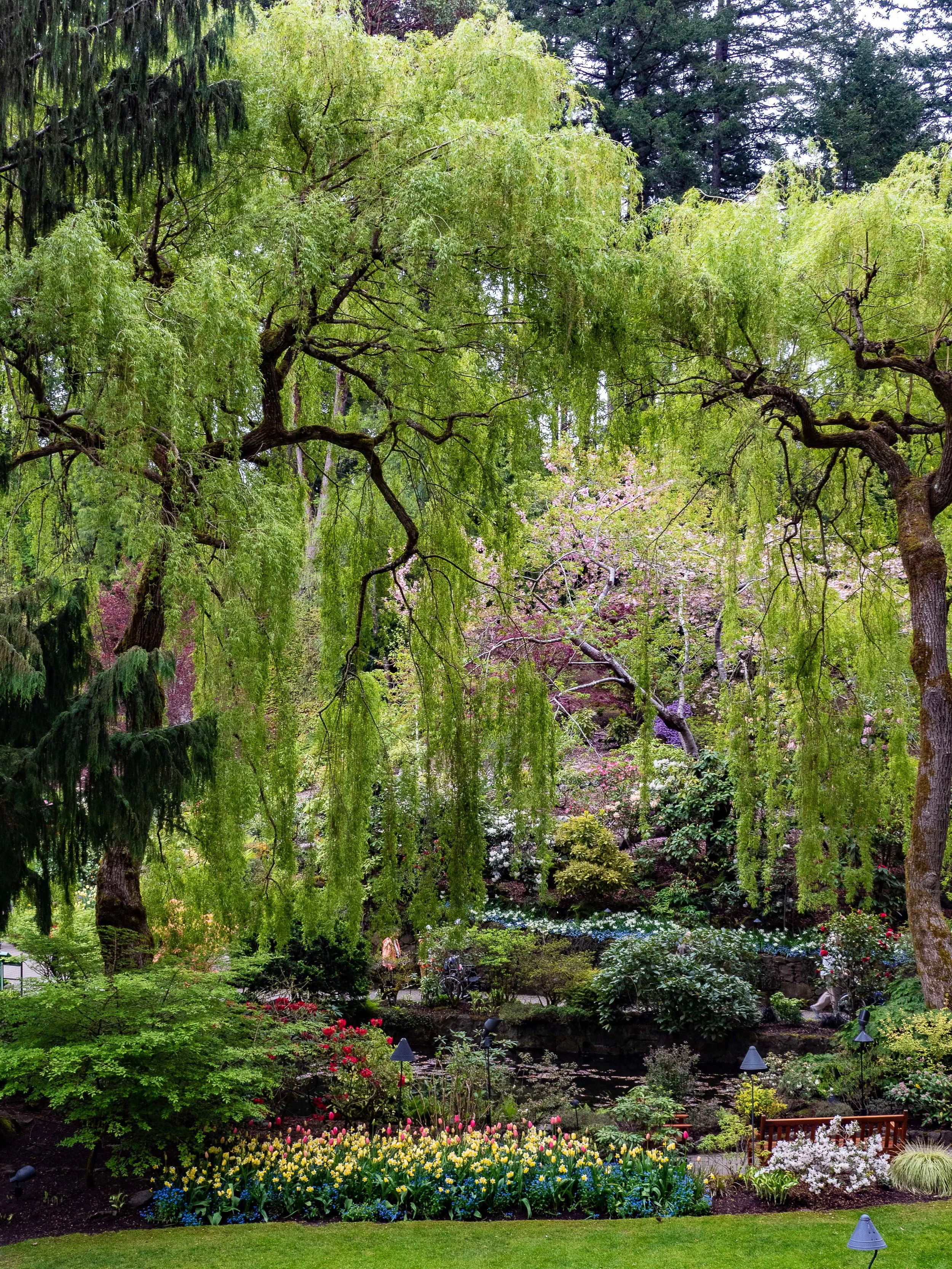 Butchart Gardens 2019 (27 of 55).JPG