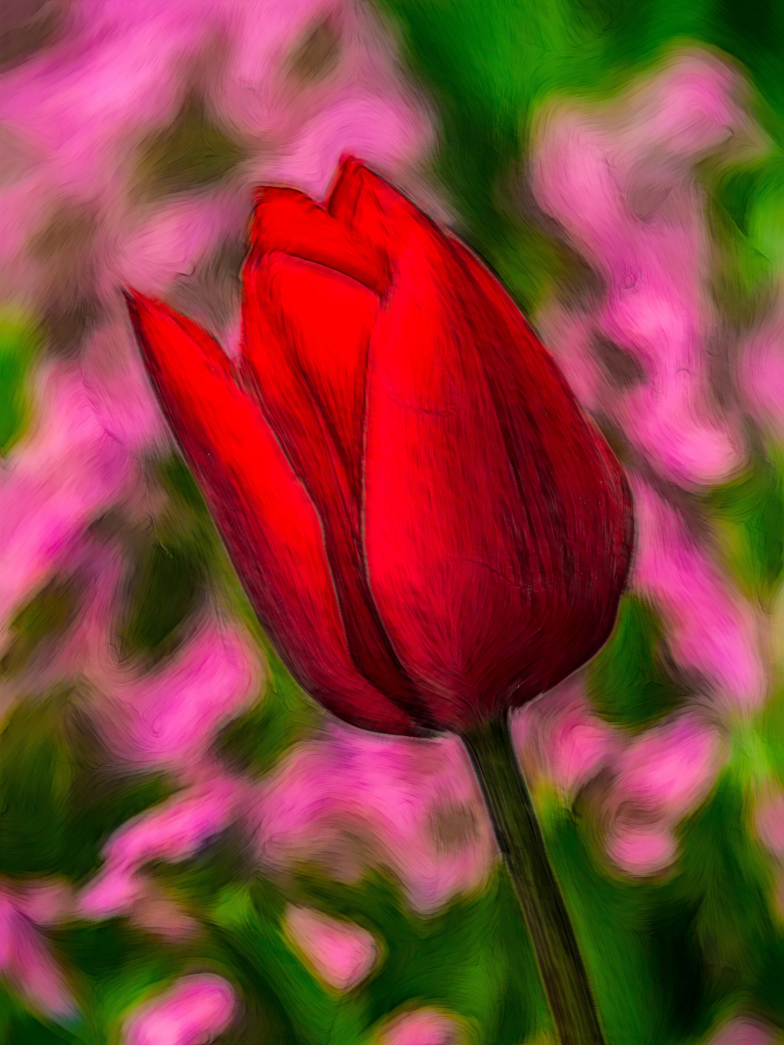 Red Tulip