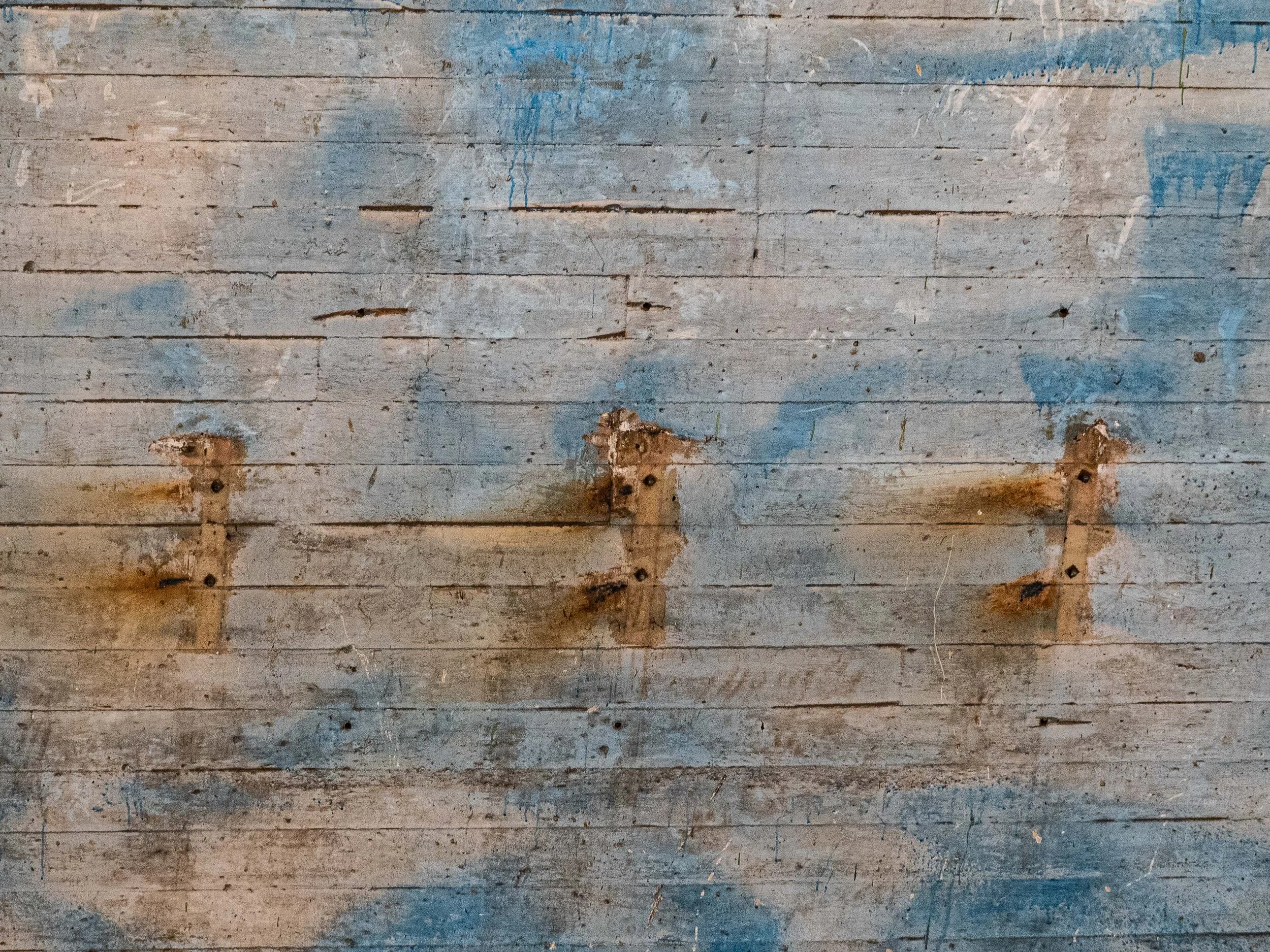 Three Ducks on a Pond