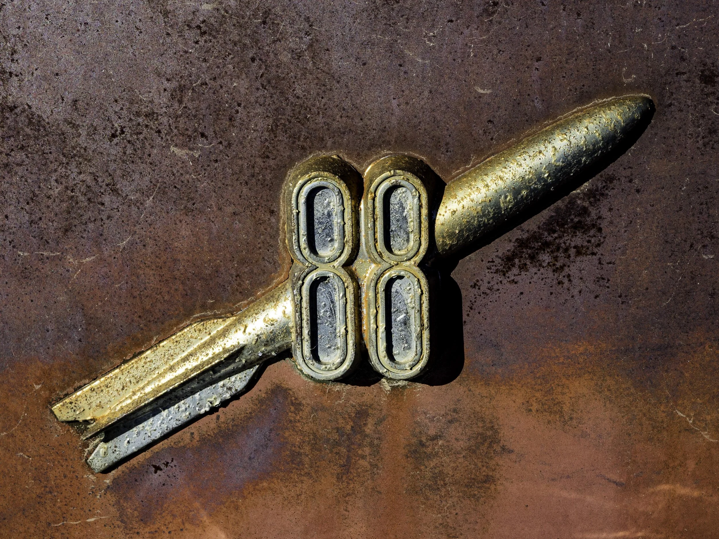 Colleen_Sayer-Olds 88.JPG