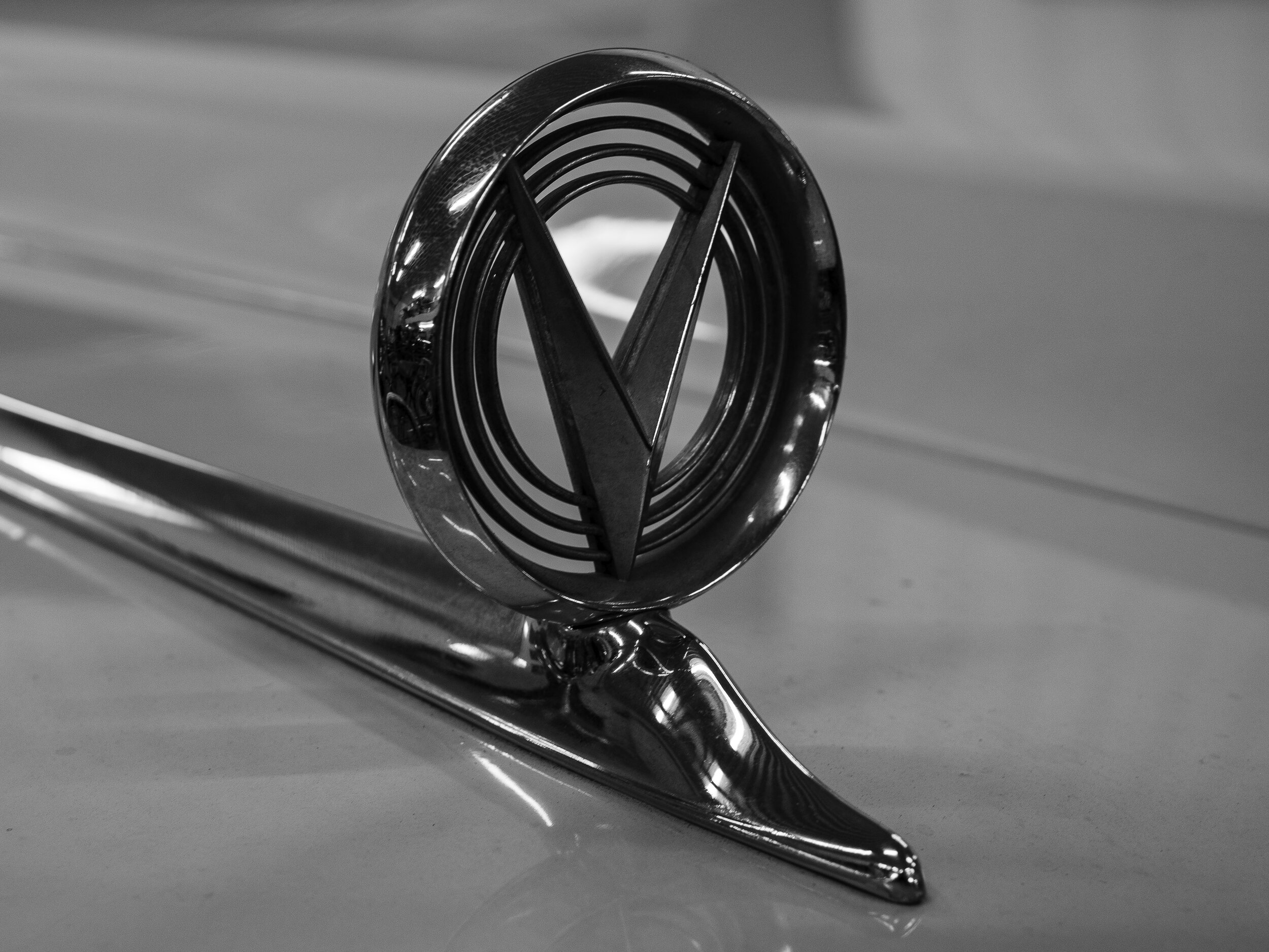 Colleen_Sayer-On the Hood.JPG