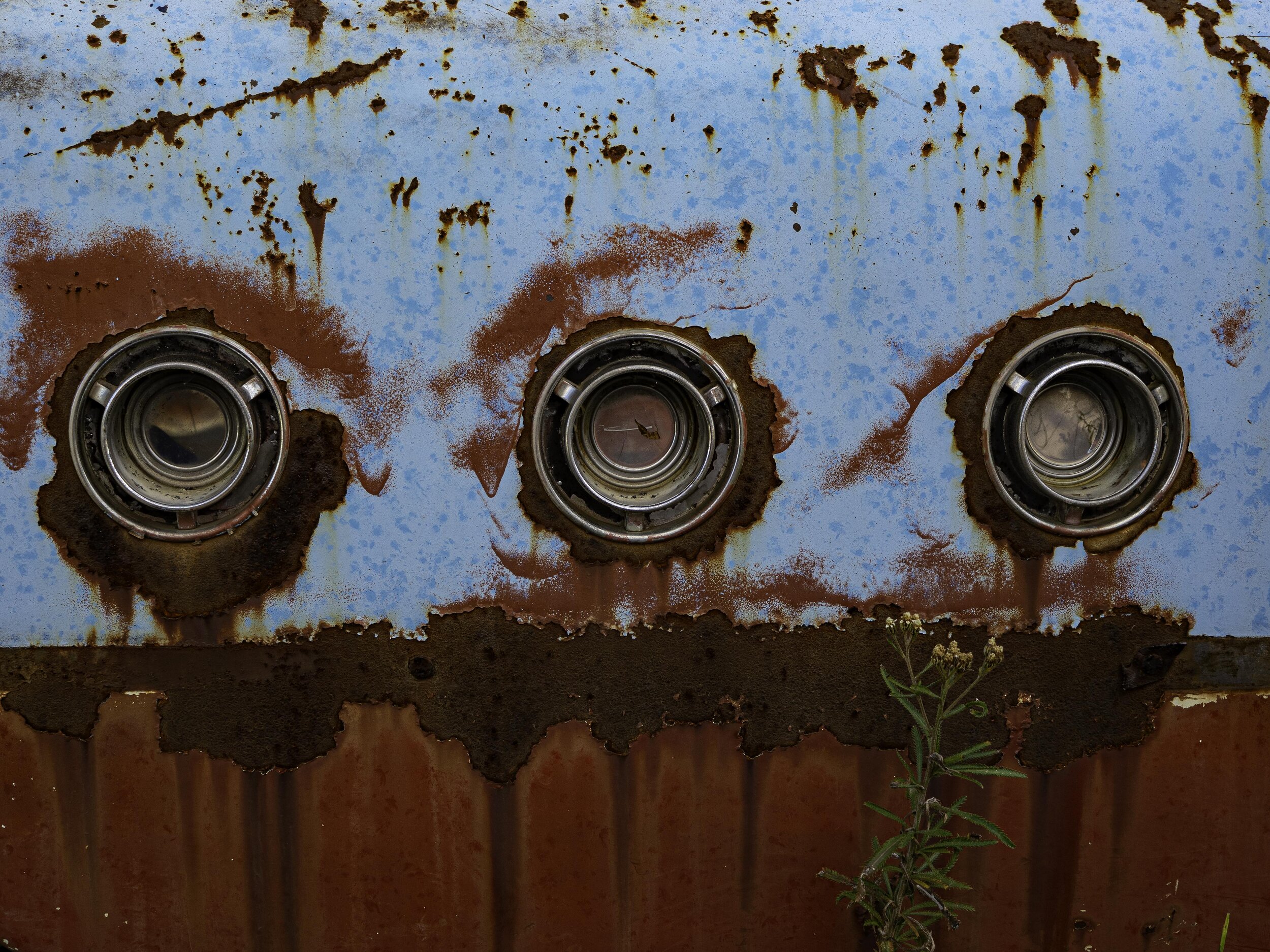 Colleen_Sayer-Three's a Crowd.JPG