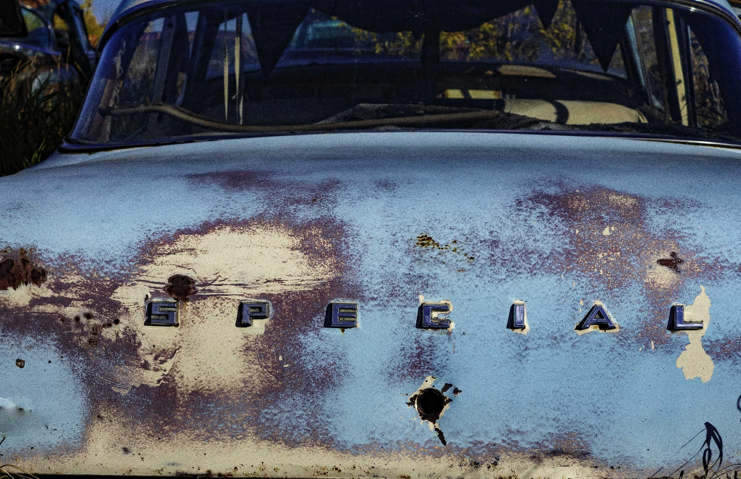 Colleen_Sayer-You're So SPECIAL.JPG