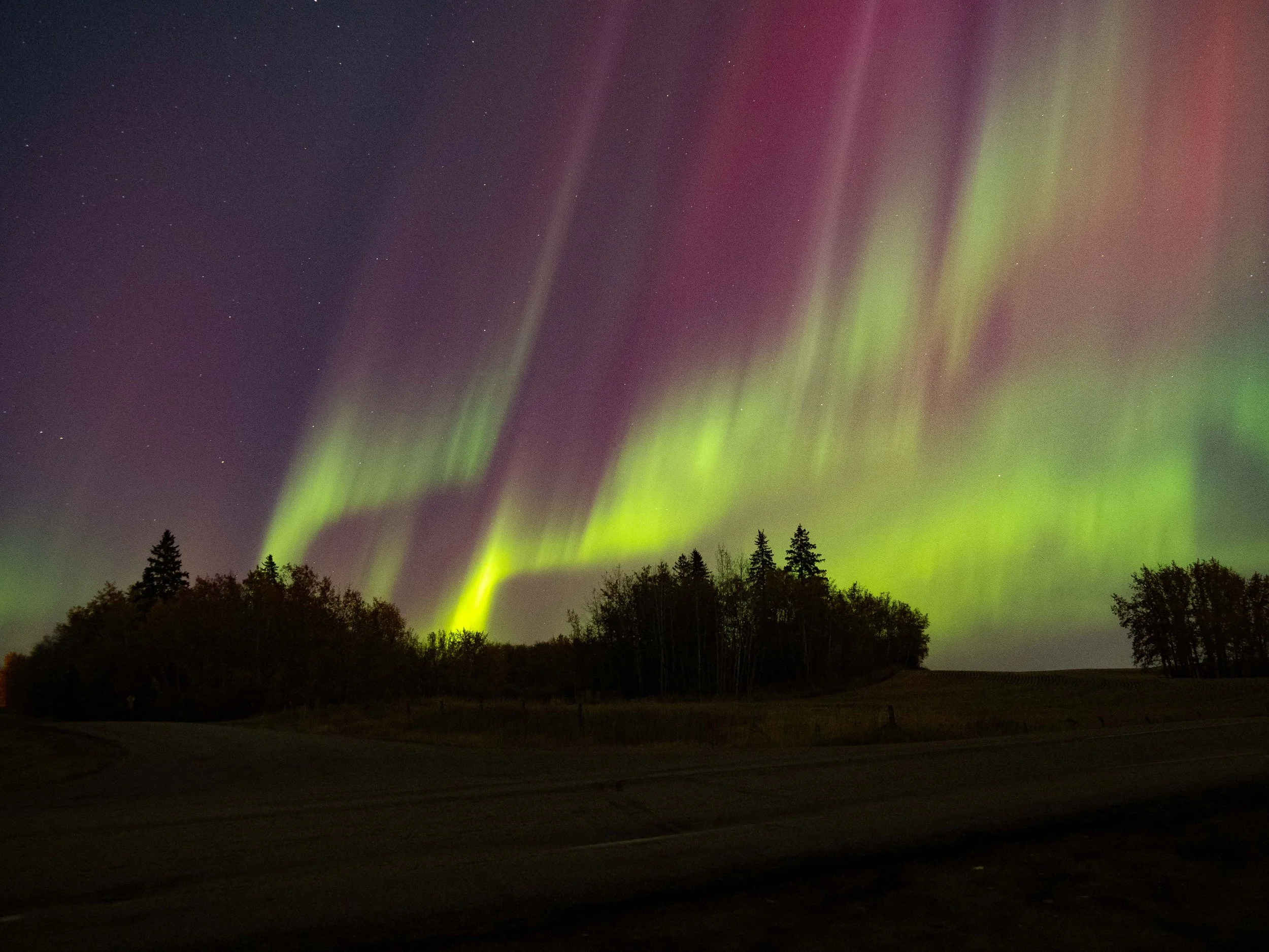 Aurora Oct 2024-2.JPG
