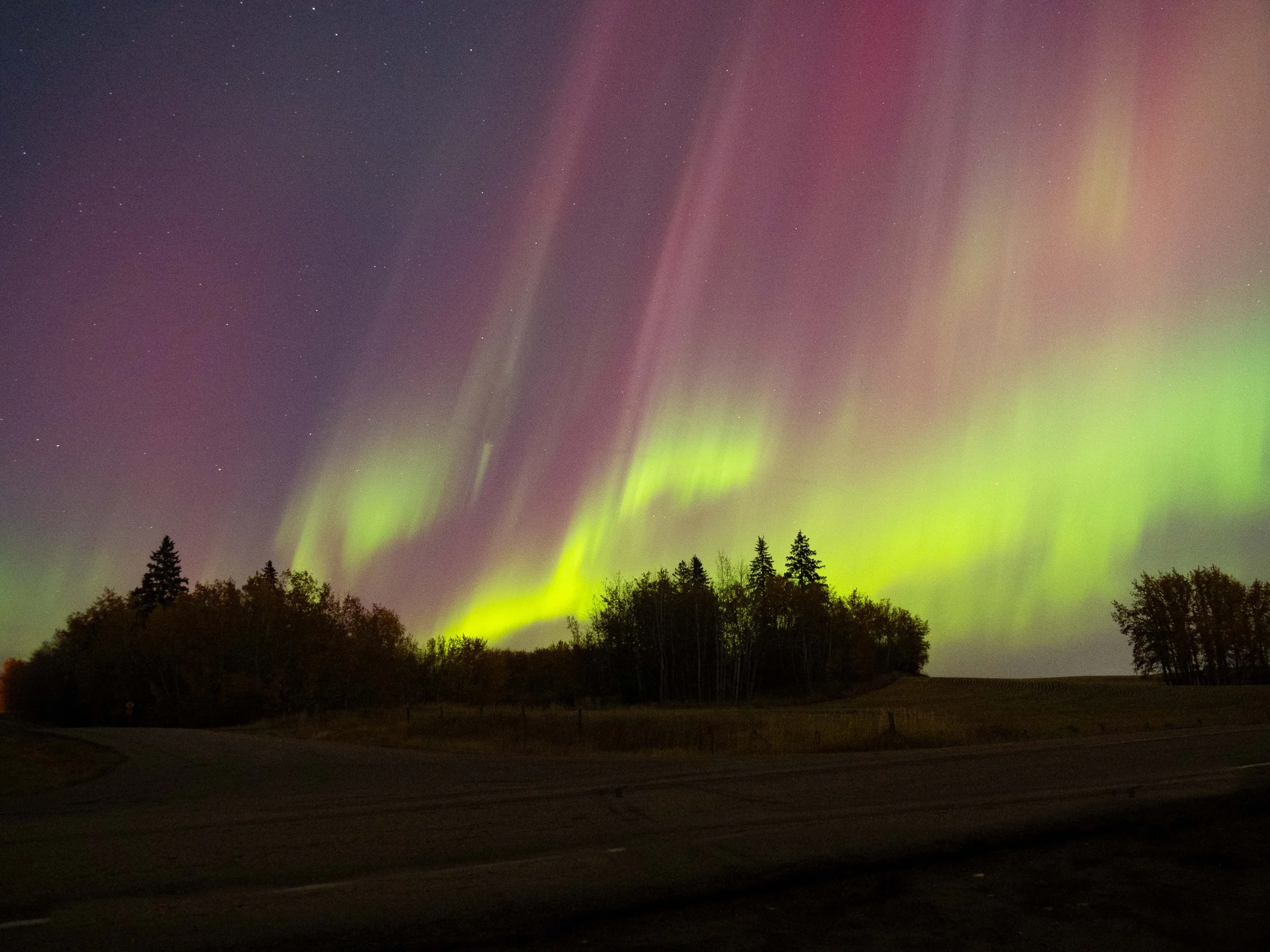 Aurora Oct 2024.JPG