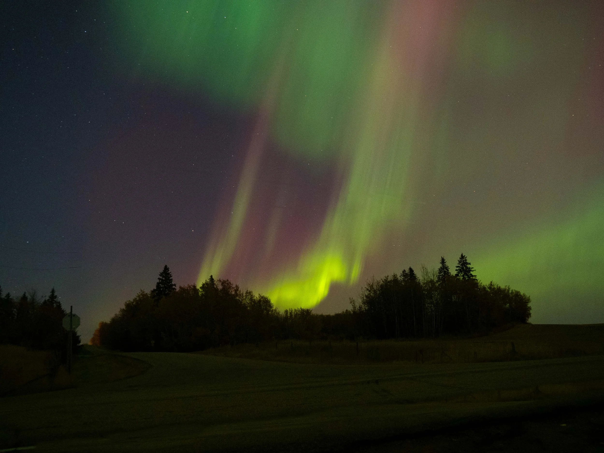 Aurora Oct 2024-3.JPG