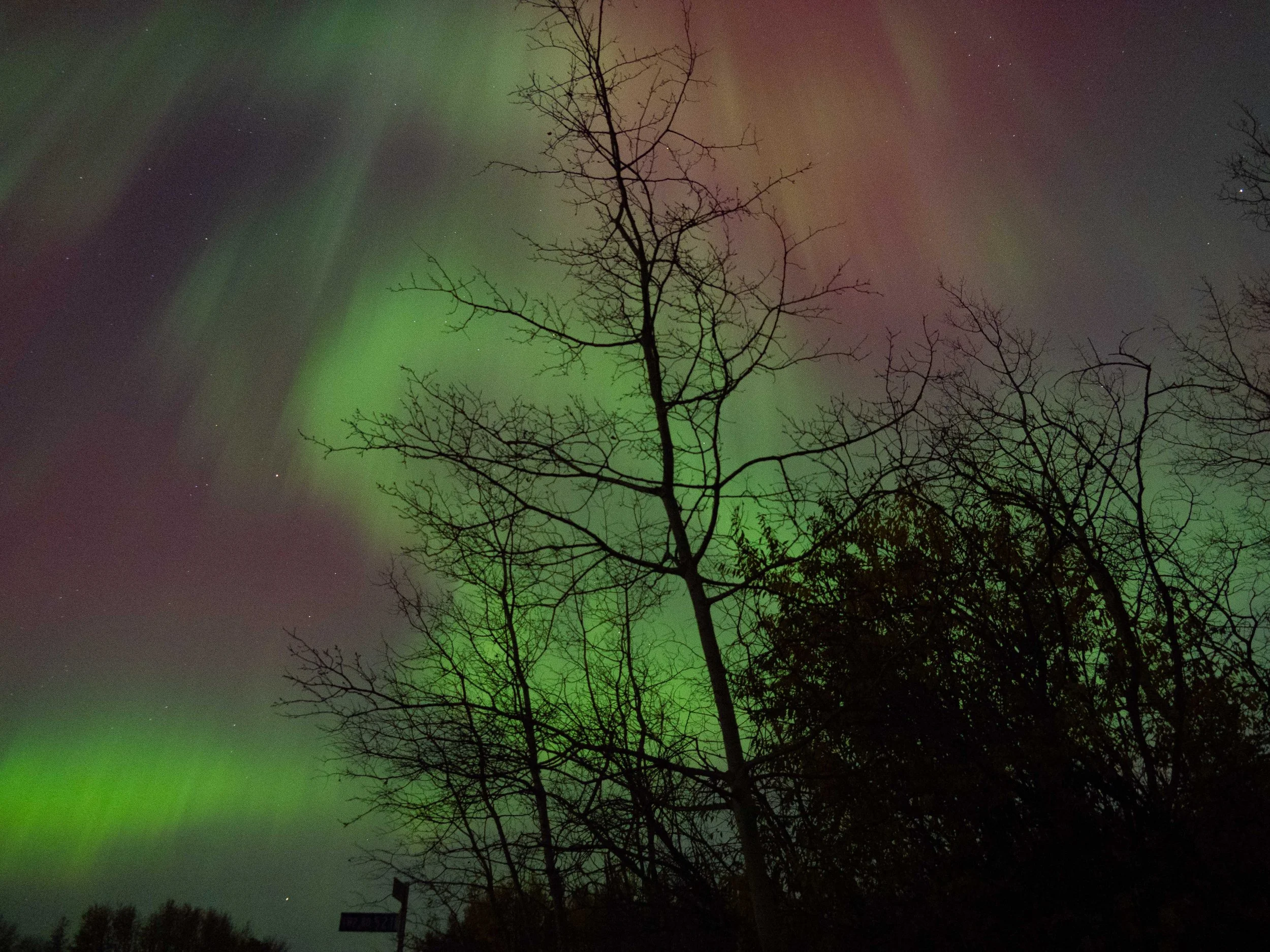 Aurora Oct 2024-5.JPG