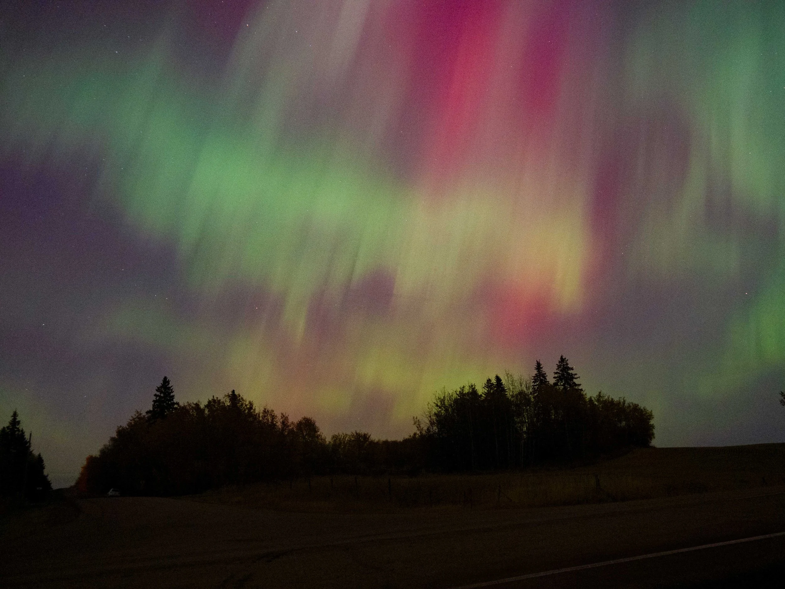 Aurora Oct 2024-6.JPG