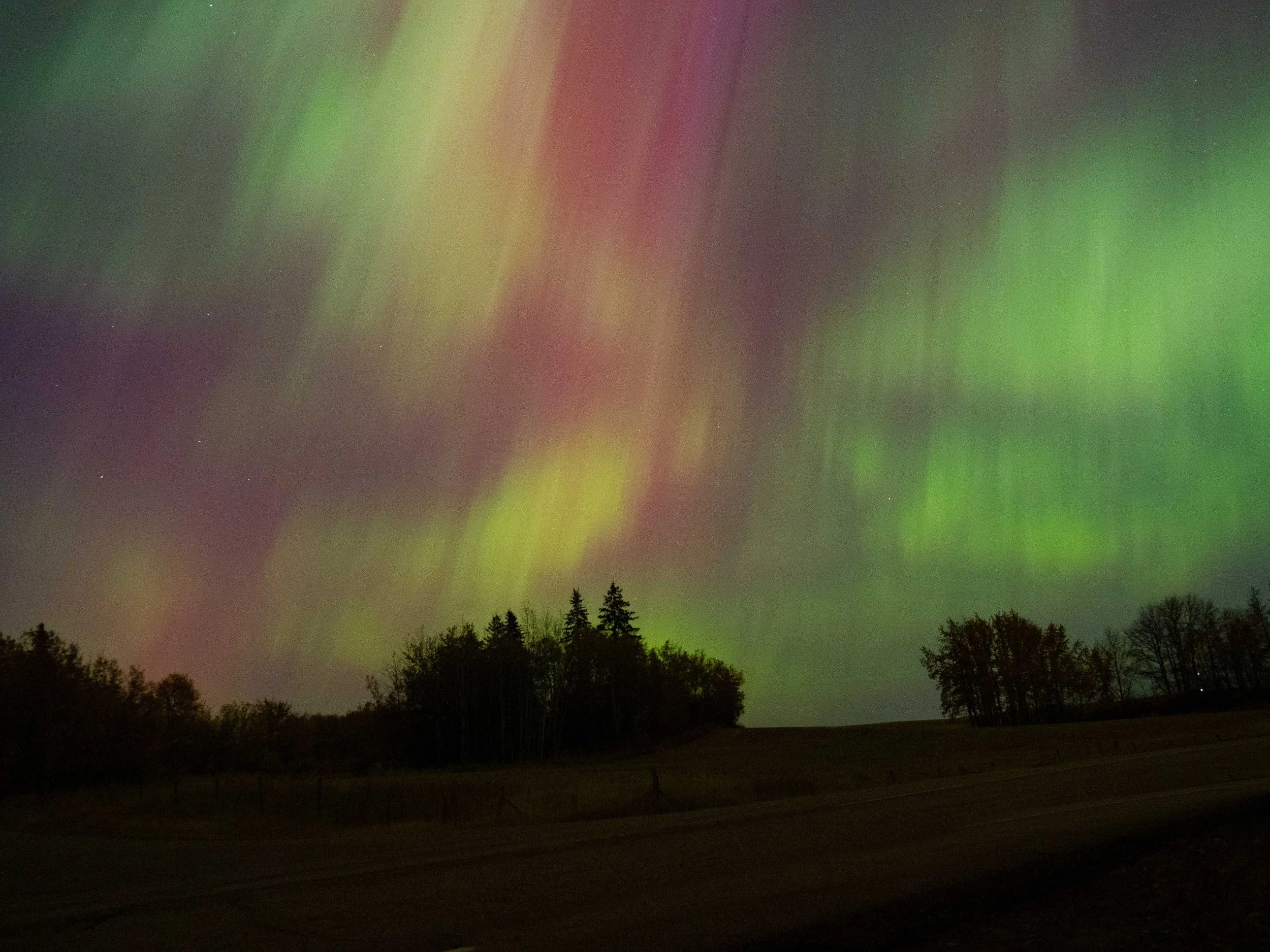Aurora Oct 2024-7.JPG