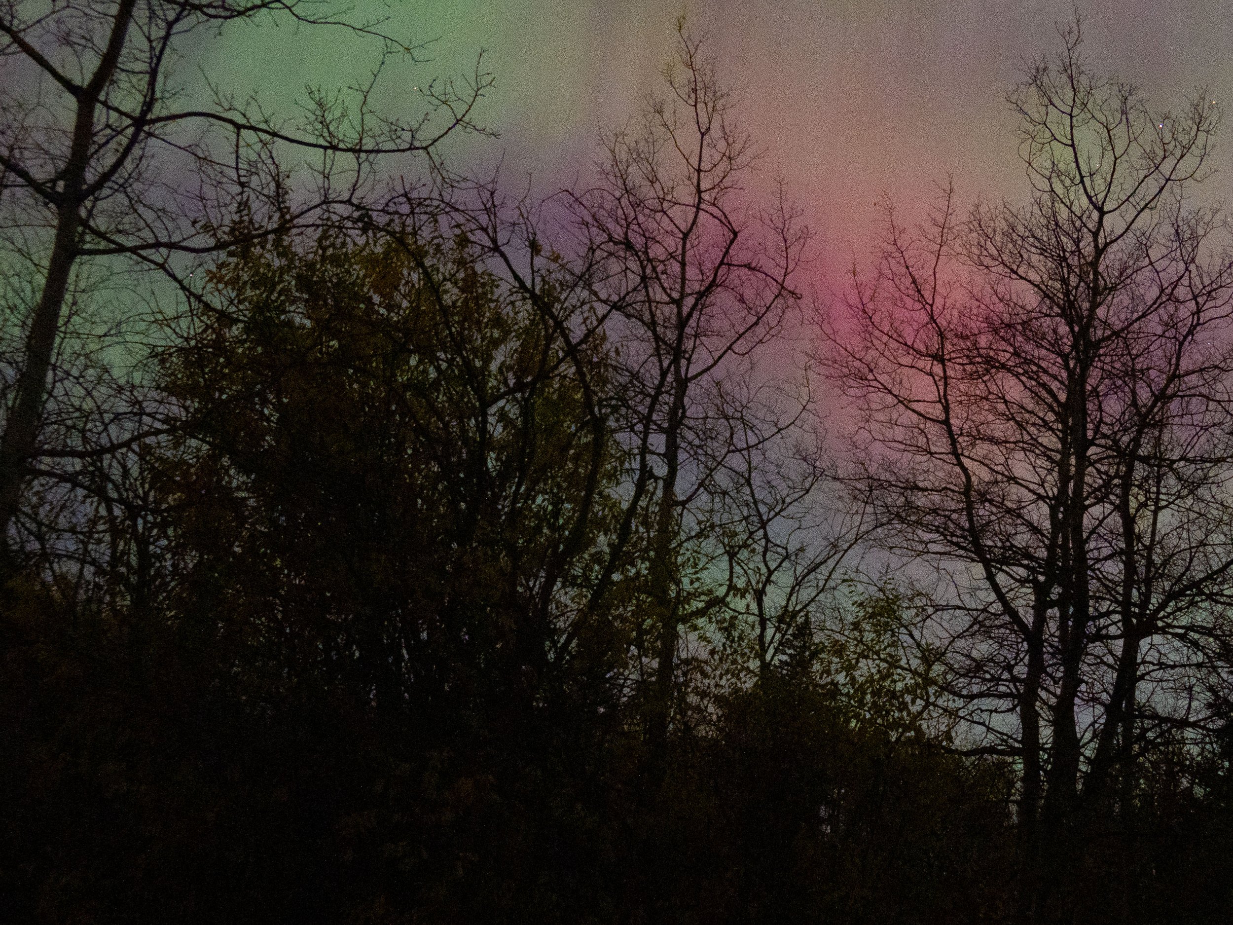 Aurora Oct 2024-8.JPG
