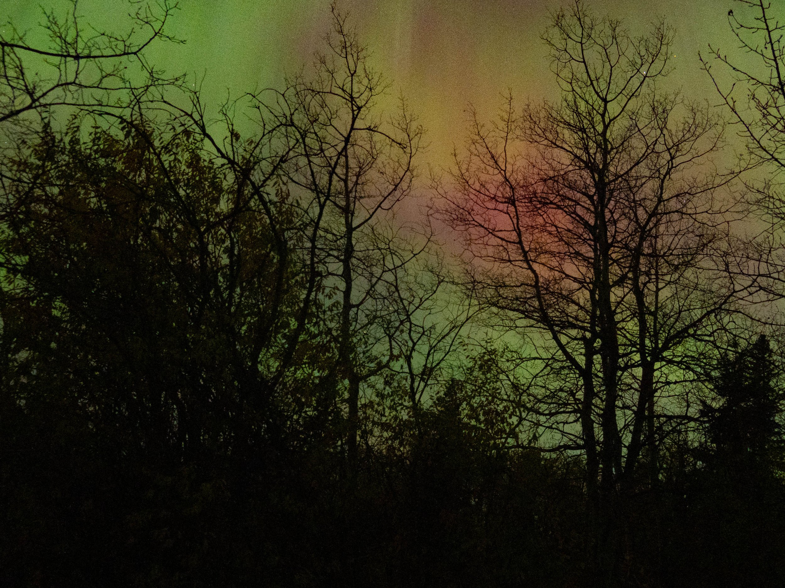 Aurora Oct 2024-9.JPG