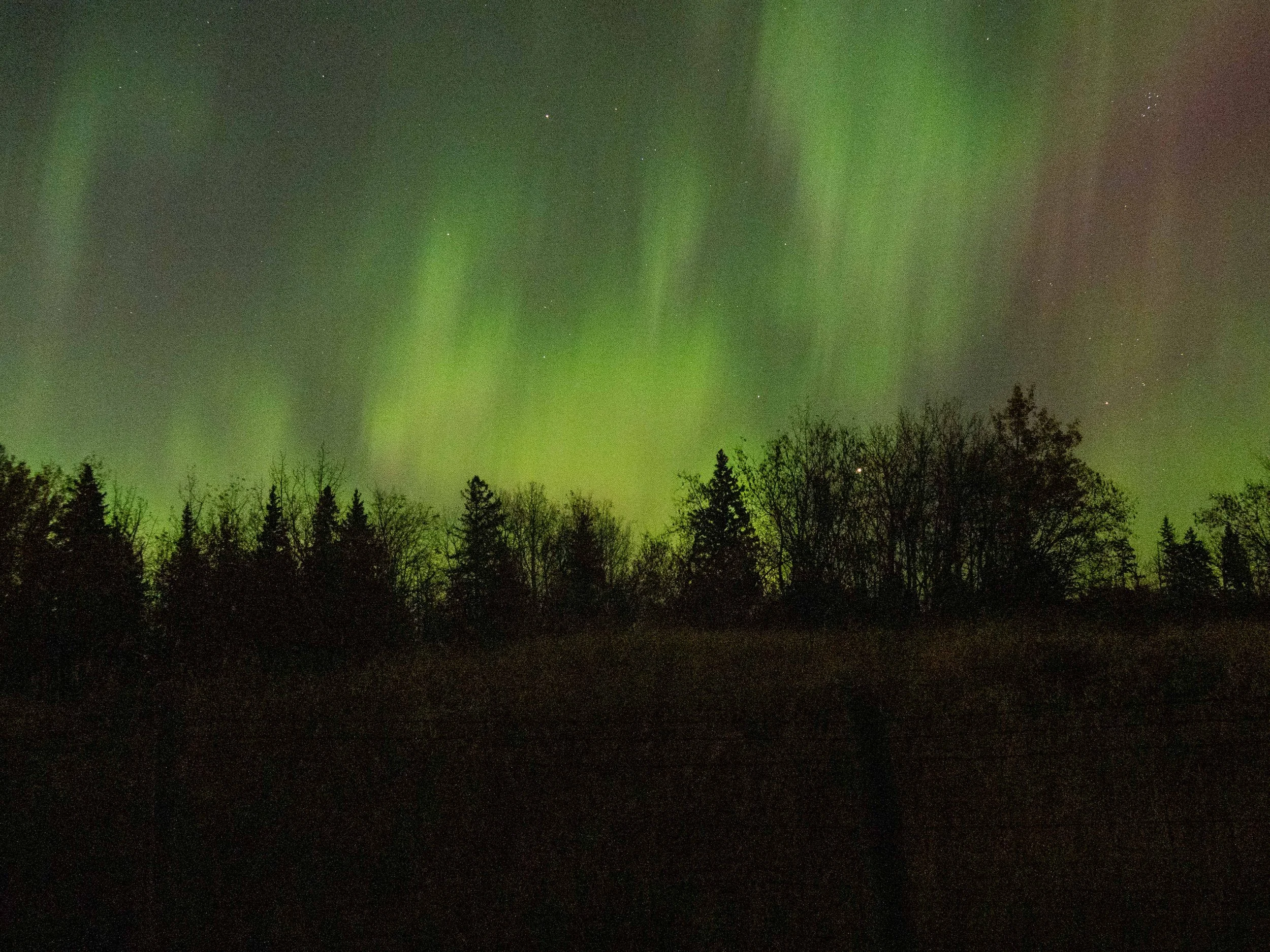 Aurora Oct 2024-10.JPG