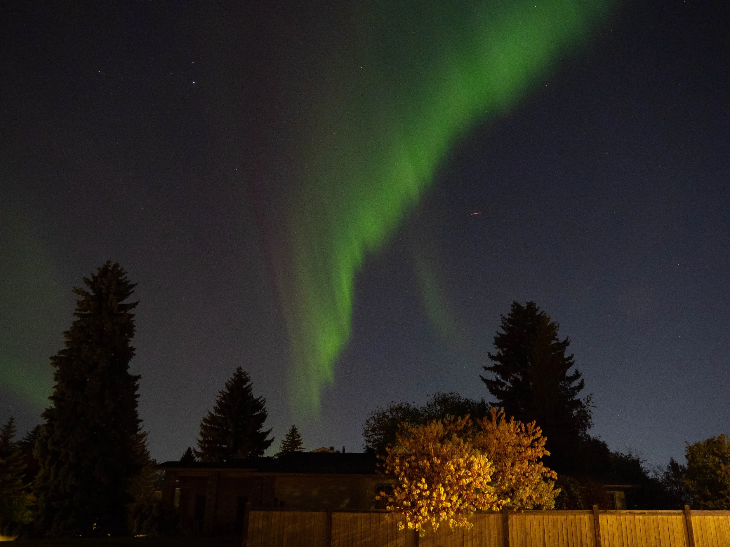 Aurora Oct 2024-11.JPG