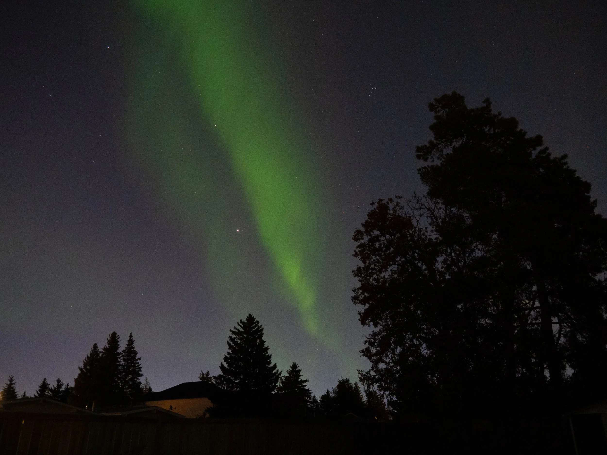 Aurora Oct 2024-12.JPG