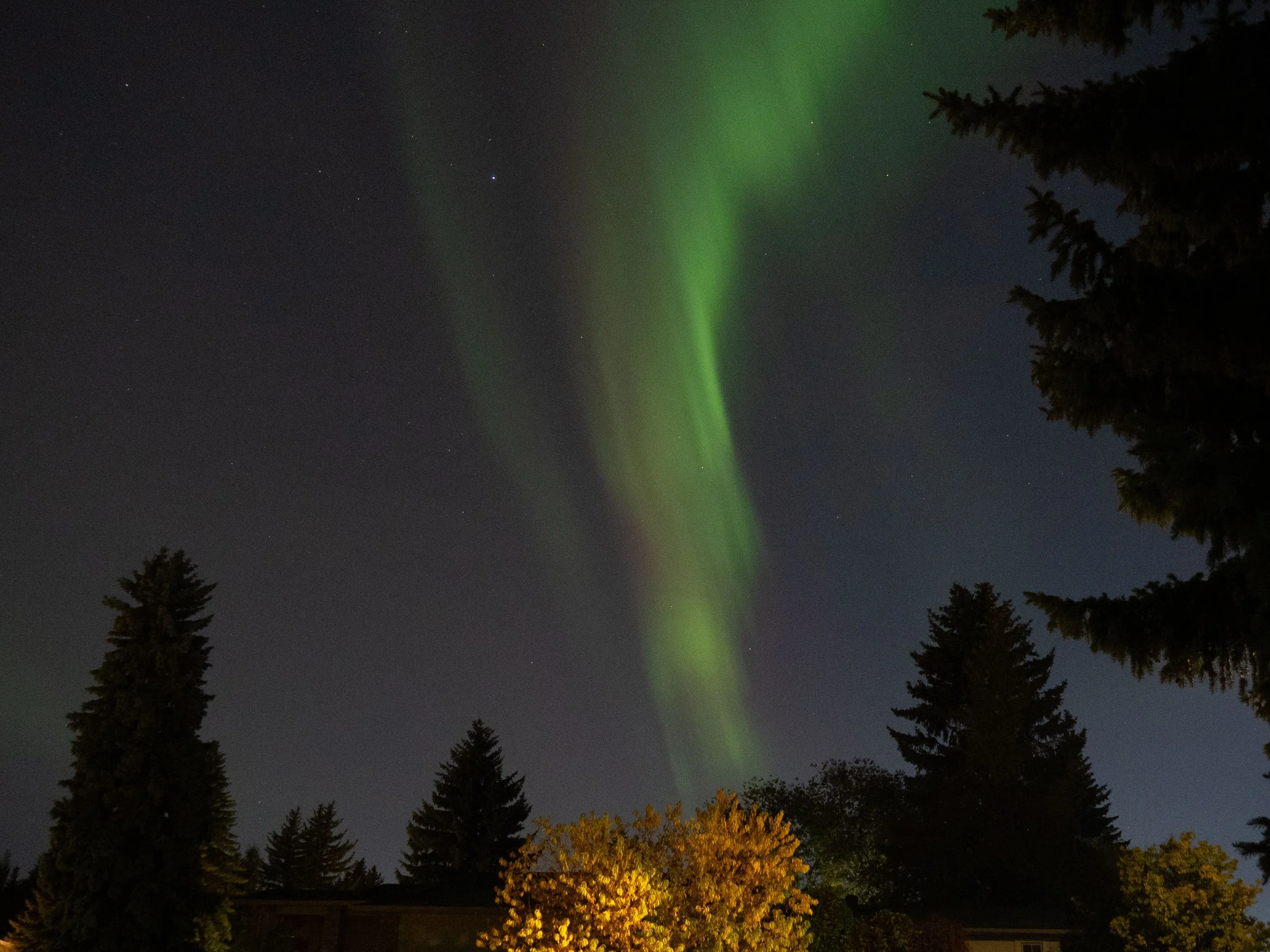 Aurora Oct 2024-13.JPG