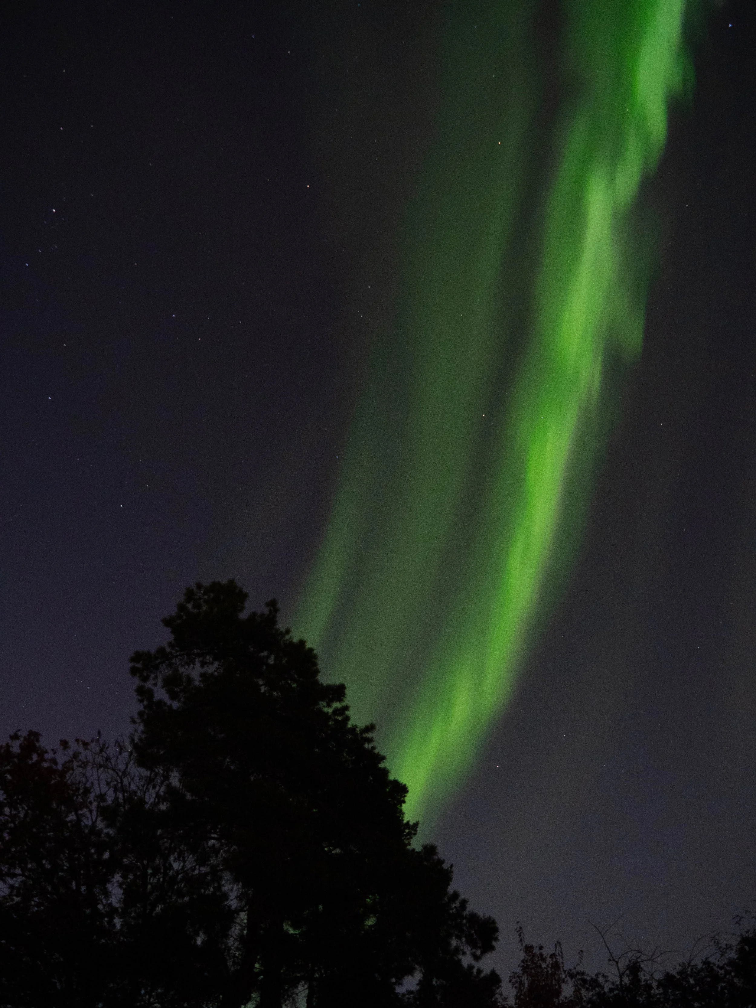 Aurora Oct 2024-14.JPG