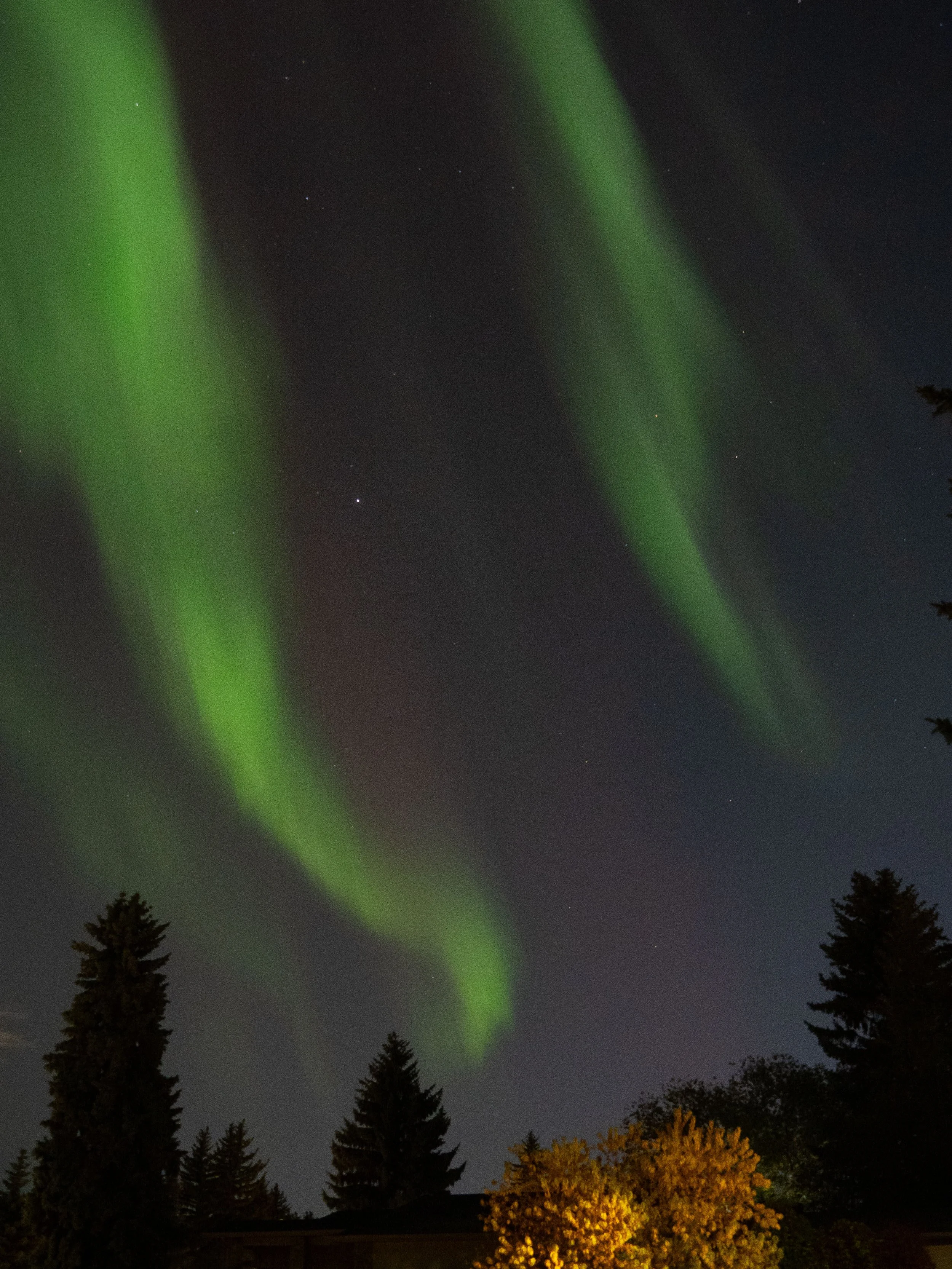 Aurora Oct 2024-15.JPG