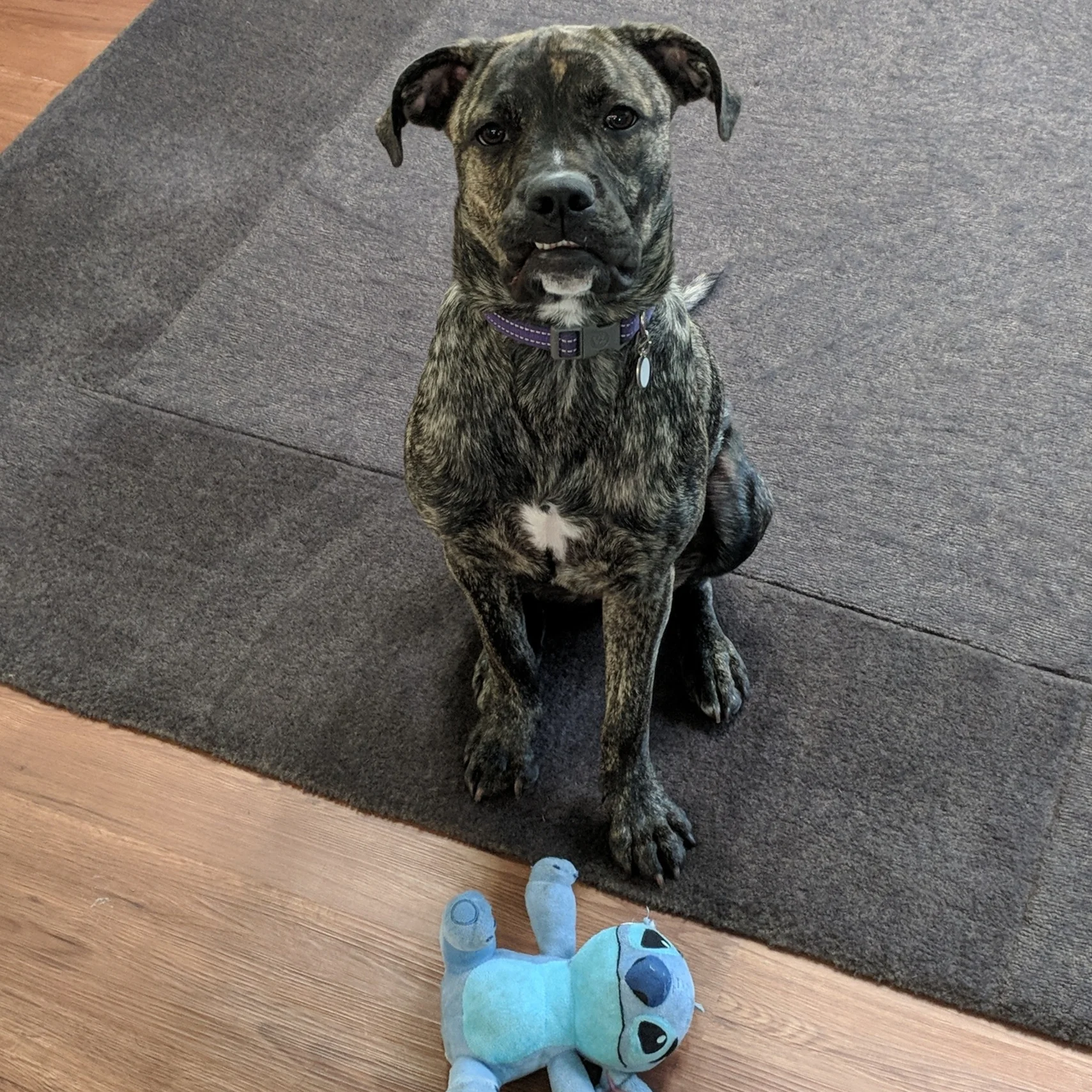 Lilo+Pic.jpg
