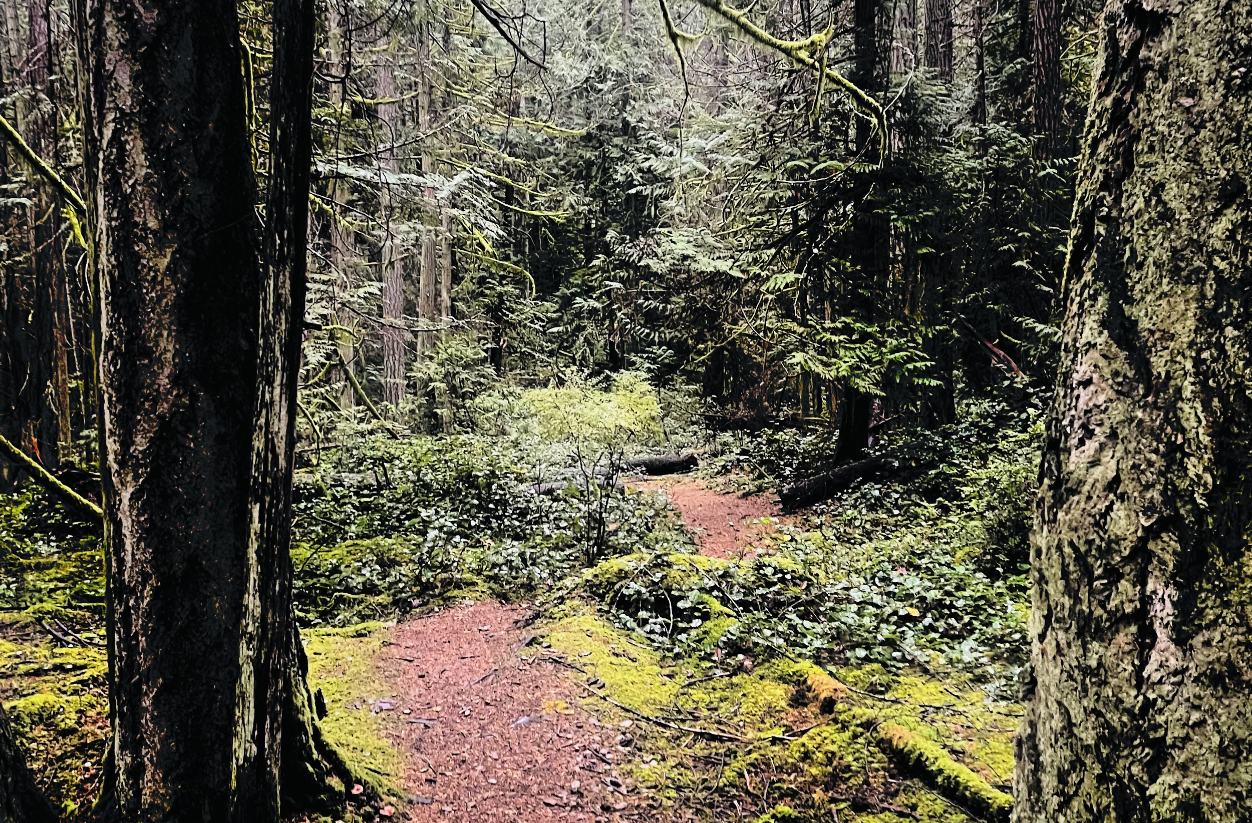2DCAA2C2-2680-499D-88D9-DEA0B217C53BIMG_2461.png