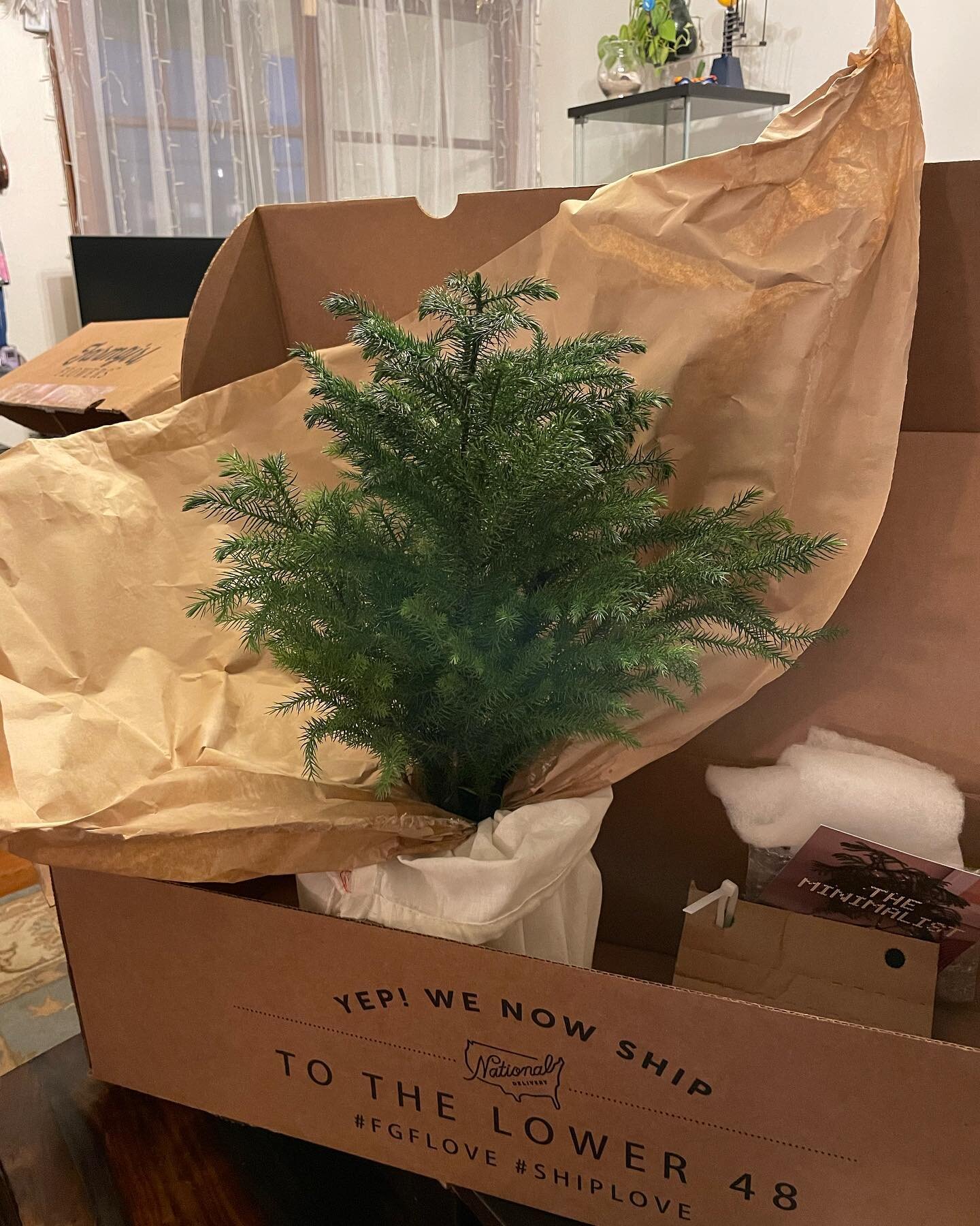 @farmgirlflowers I have no idea why I received this gift, but I am literally sobbing with gratitude.
🎄
We are moving this month. By all good grace, we just bought a beautiful home &mdash; our first.
🎄
While this is such a blessing in our lives, we 