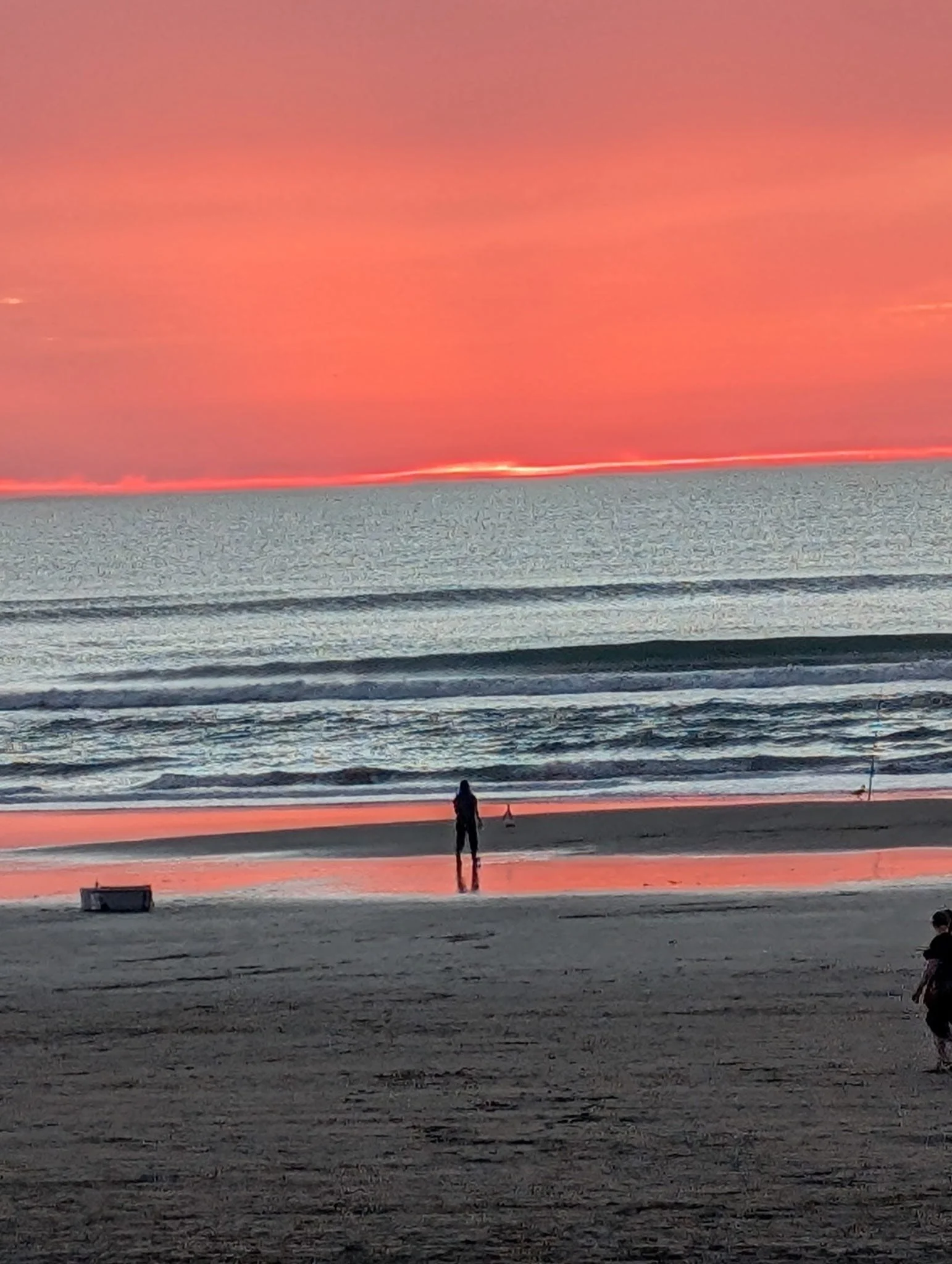 Open Letter to San Francisco