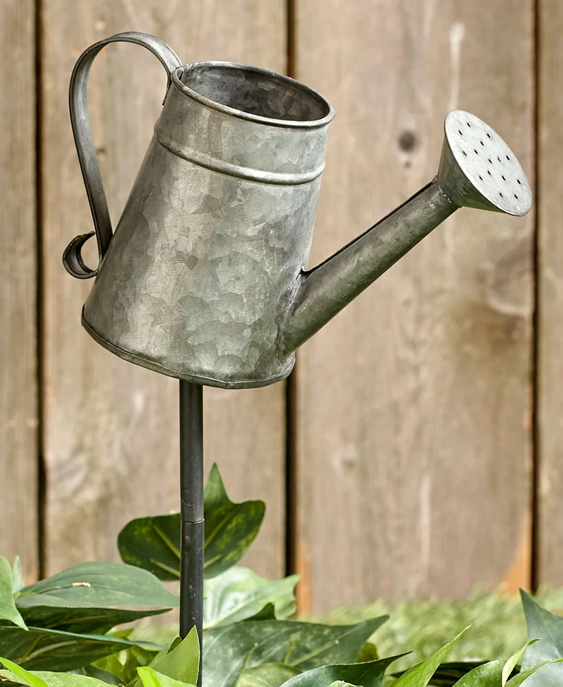 Galvanized Planter, water pitcher.jpg