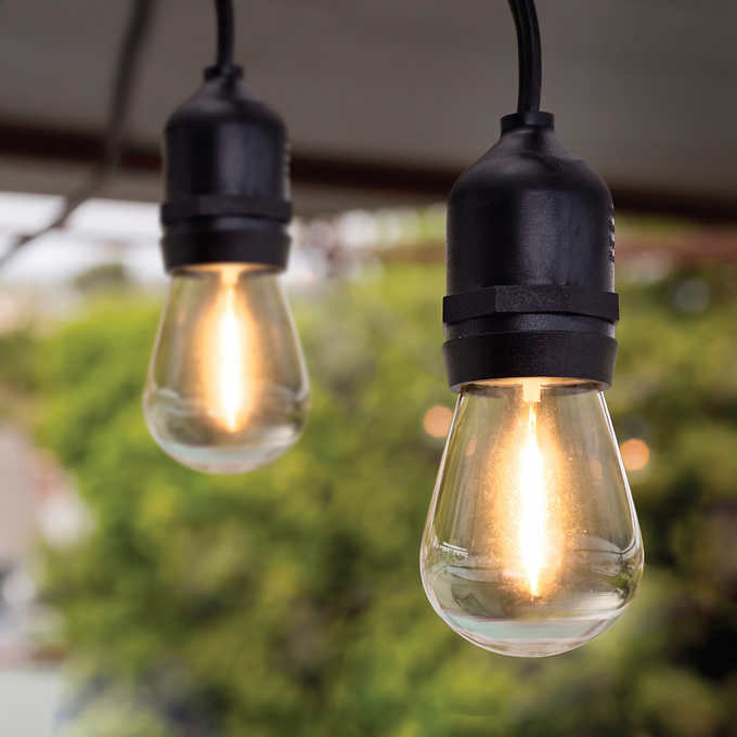 String Lights. 48 ft LED lights on black wire. Connect additional lights if needed..jpg