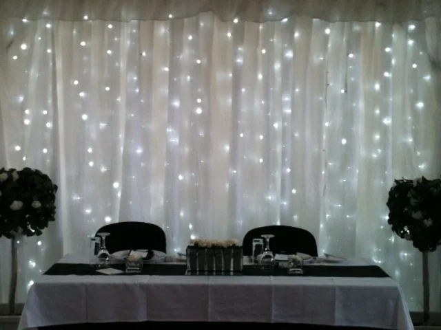LT-210 Curtain lights backdrop.jpg