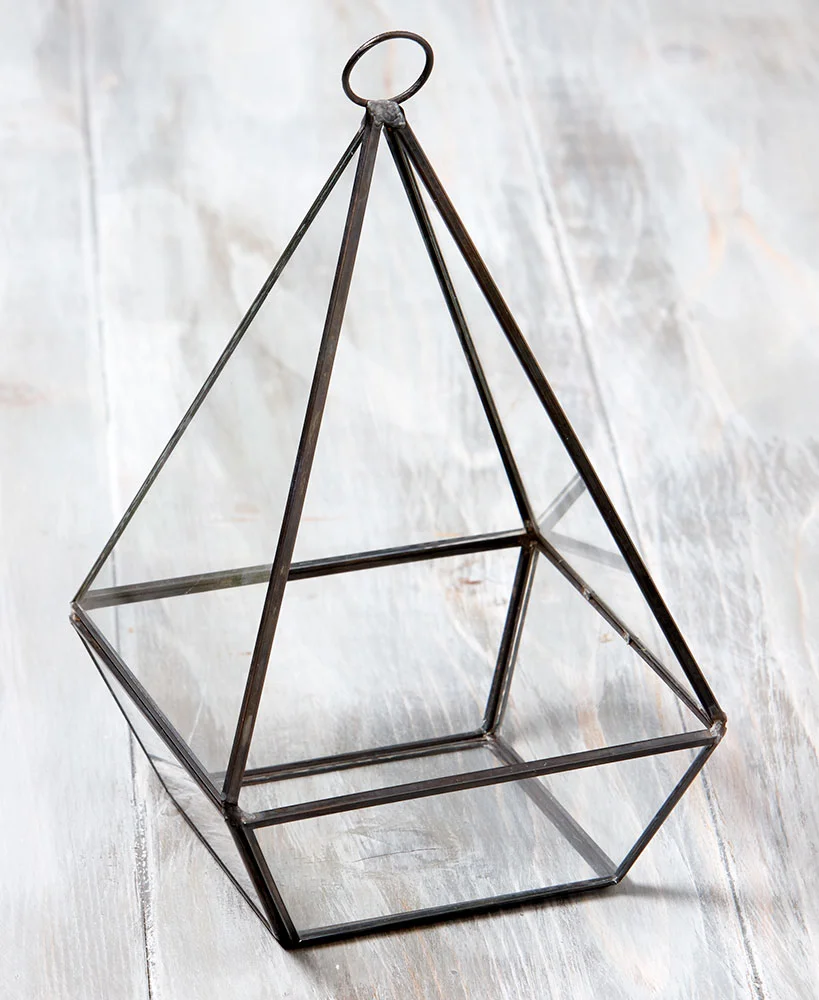 Terrarium_Teardrop.jpg