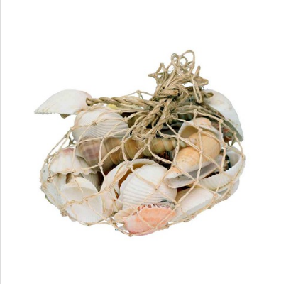 Shells.Net of assorted shells.png